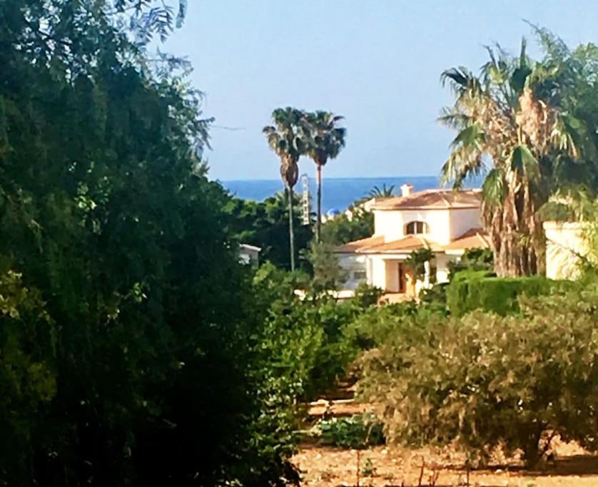 Casa Anemone