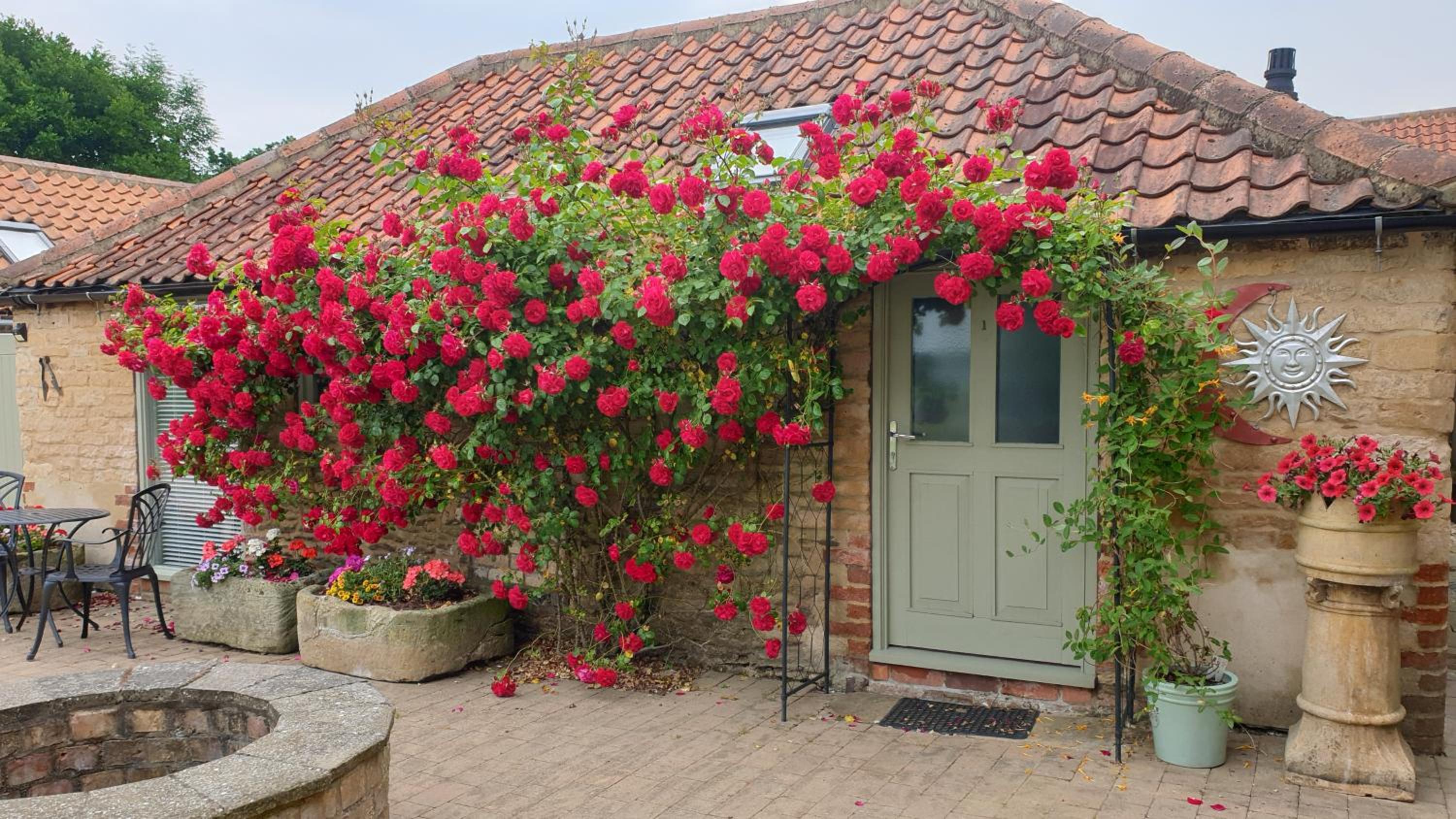 Cosy Studio Cottage view 3