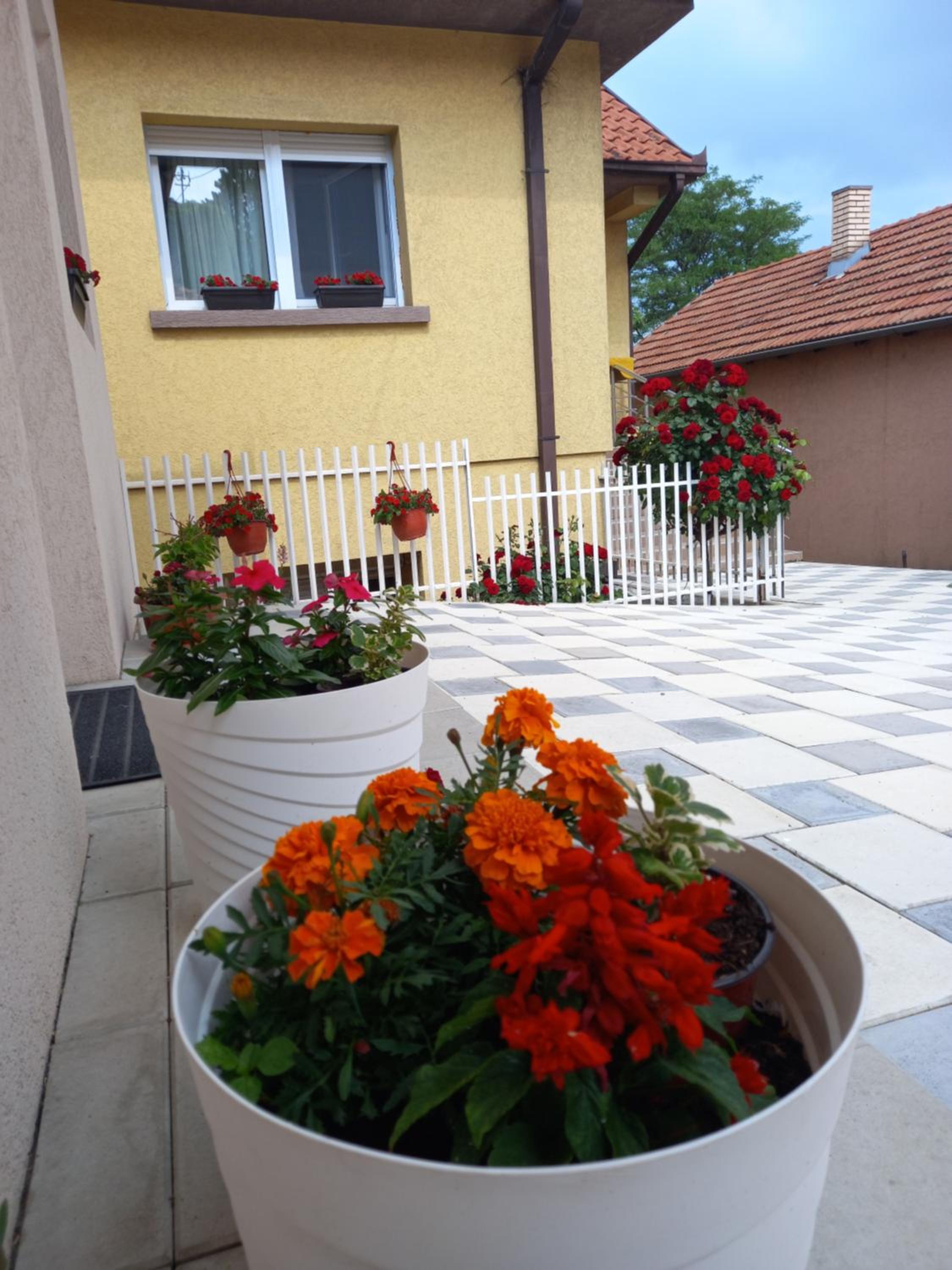 Photo 16