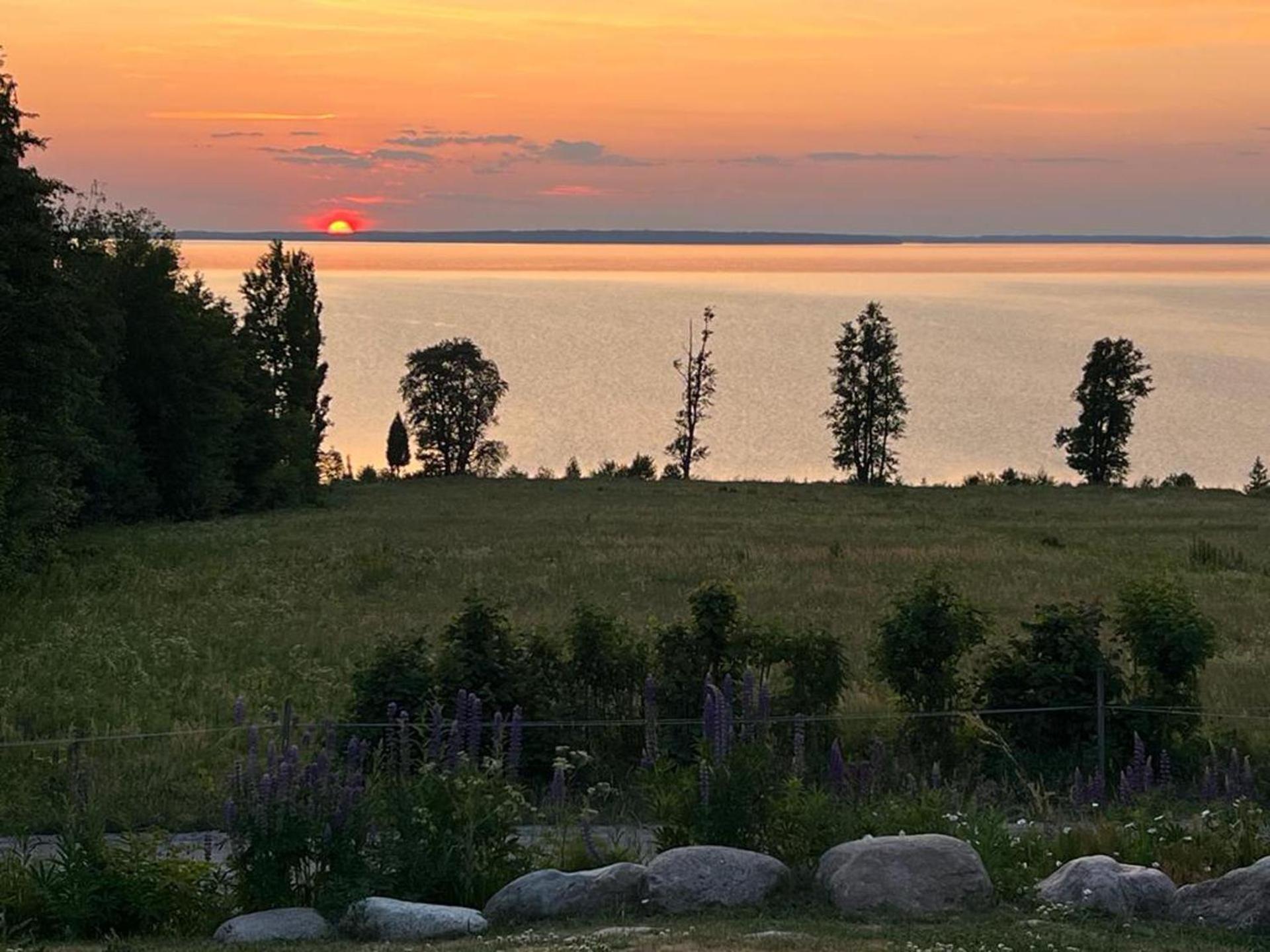 Romantic Lakeview Guesthouse in Swedish Nature view 2