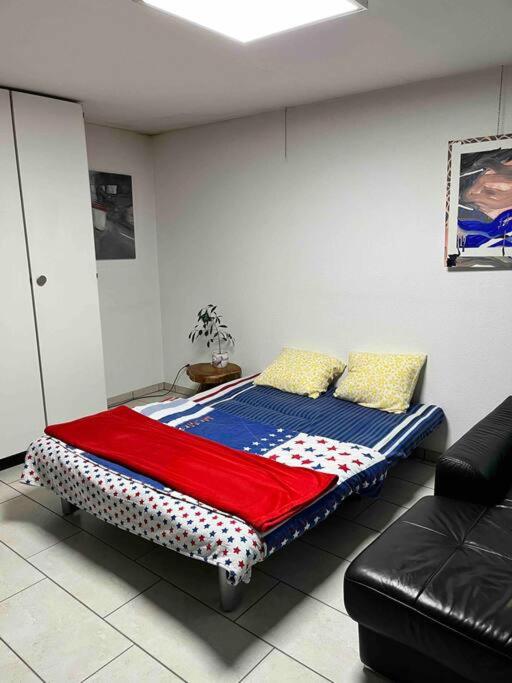Basel - 5 mins away - Modern Basement Studio with Kitchen 35m2 in Muttenz