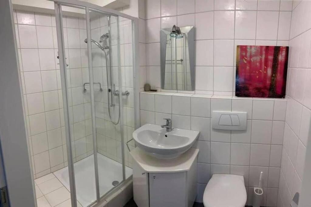 Basel - 5 mins away - Modern Basement Studio with Kitchen 35m2 in Muttenz
