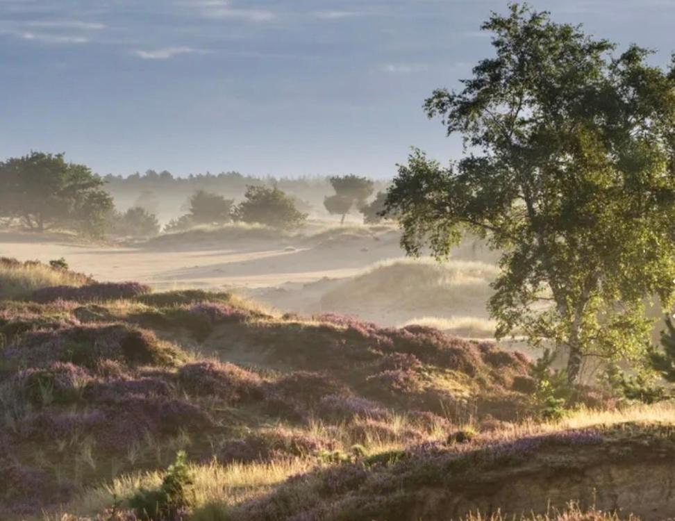 Schaapskooi 20 view 2