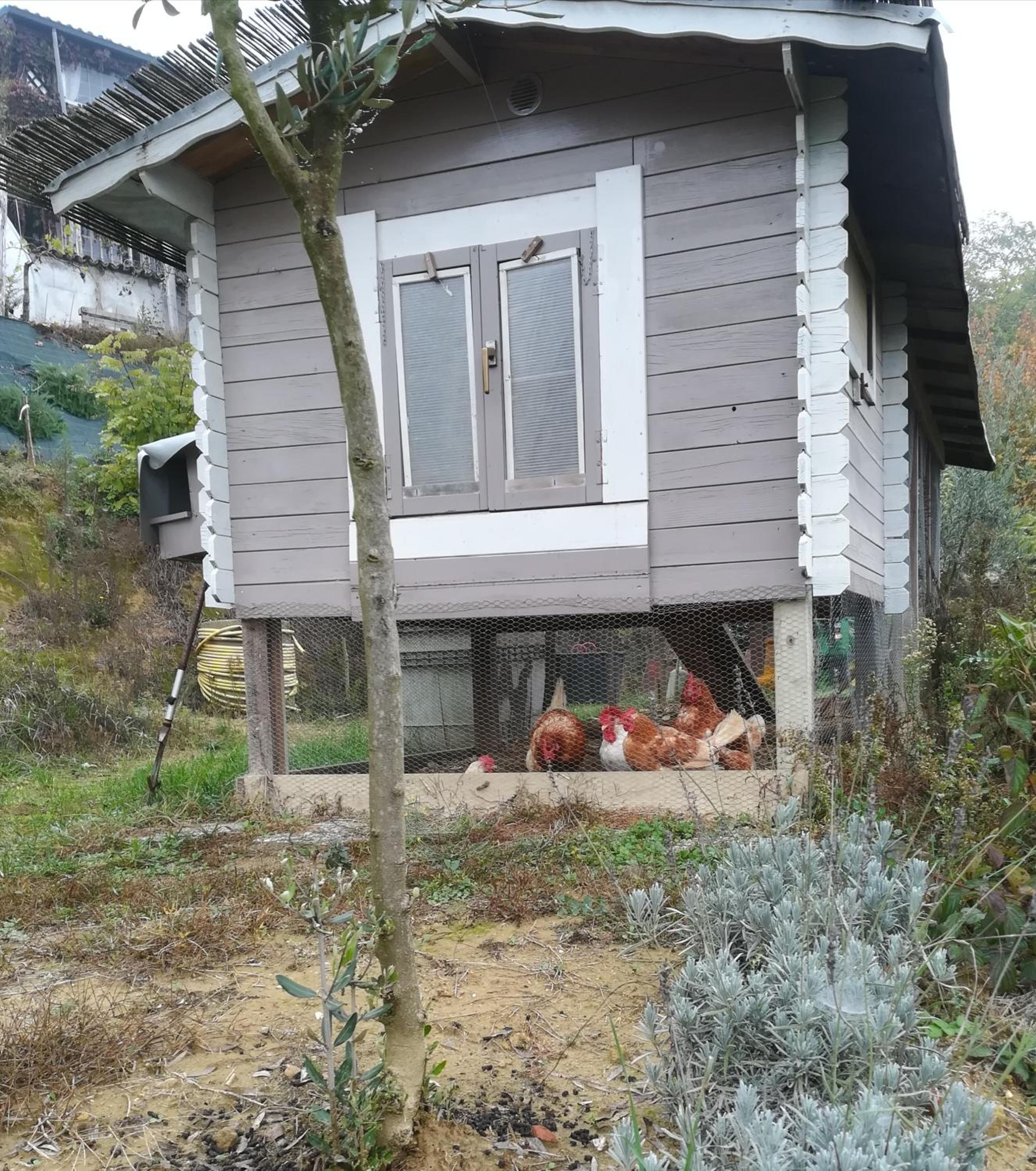 Photo 16