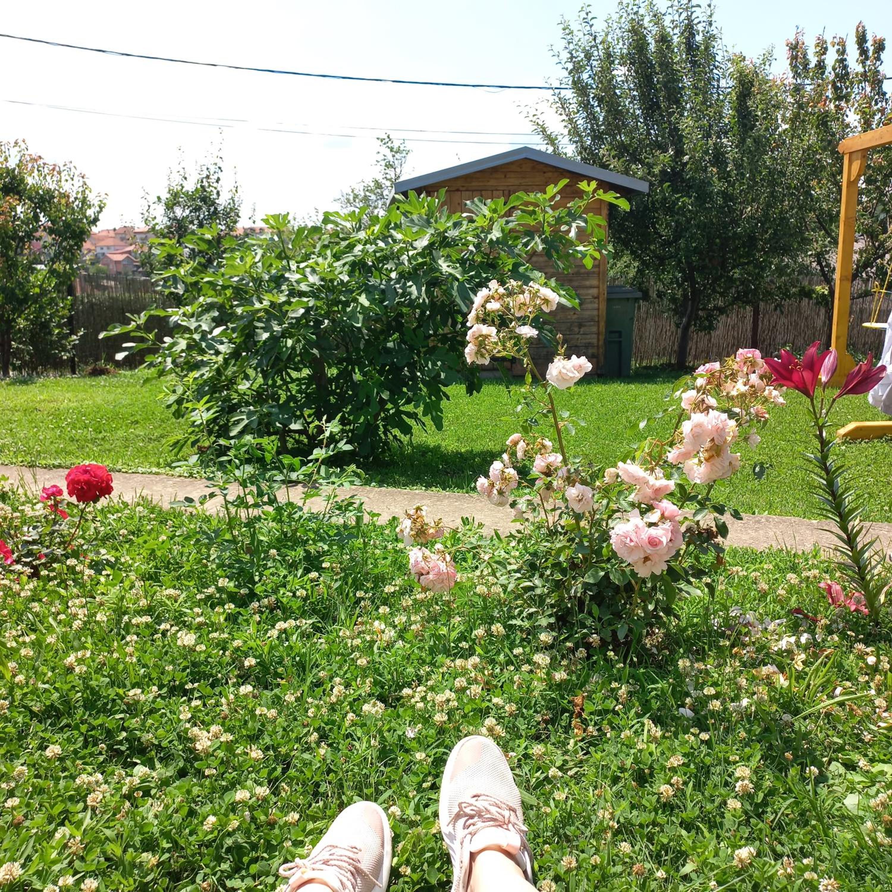 Photo 43