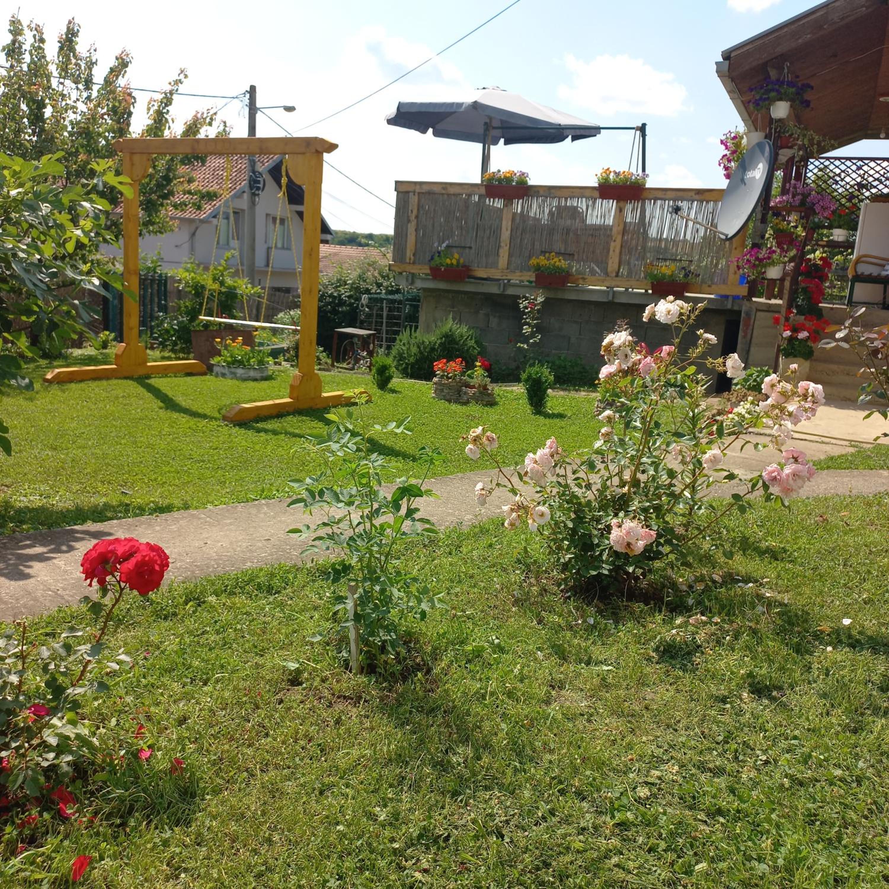 Photo 32