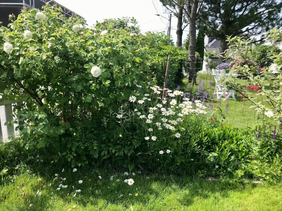 Photo 28