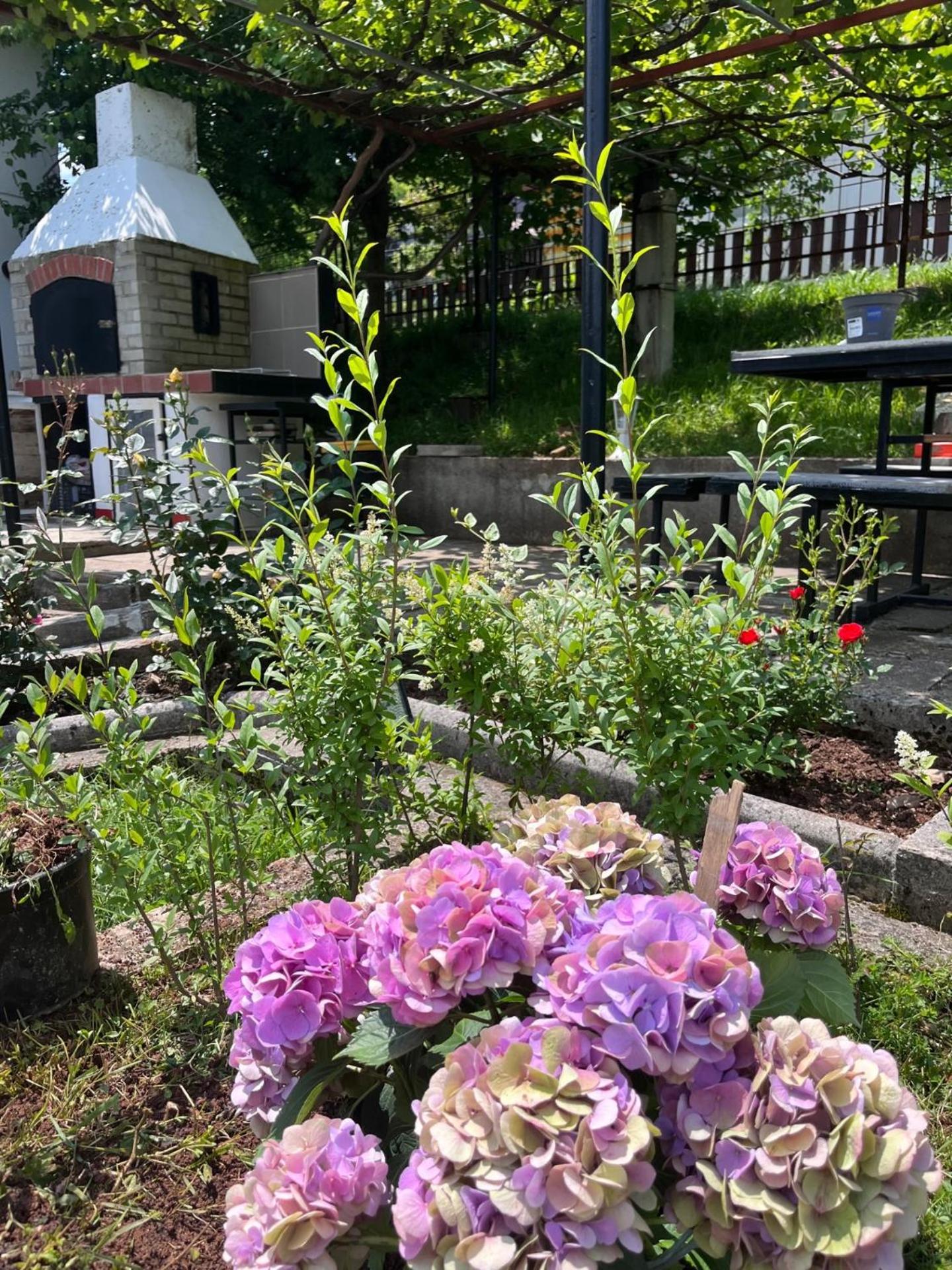 Villa Rose