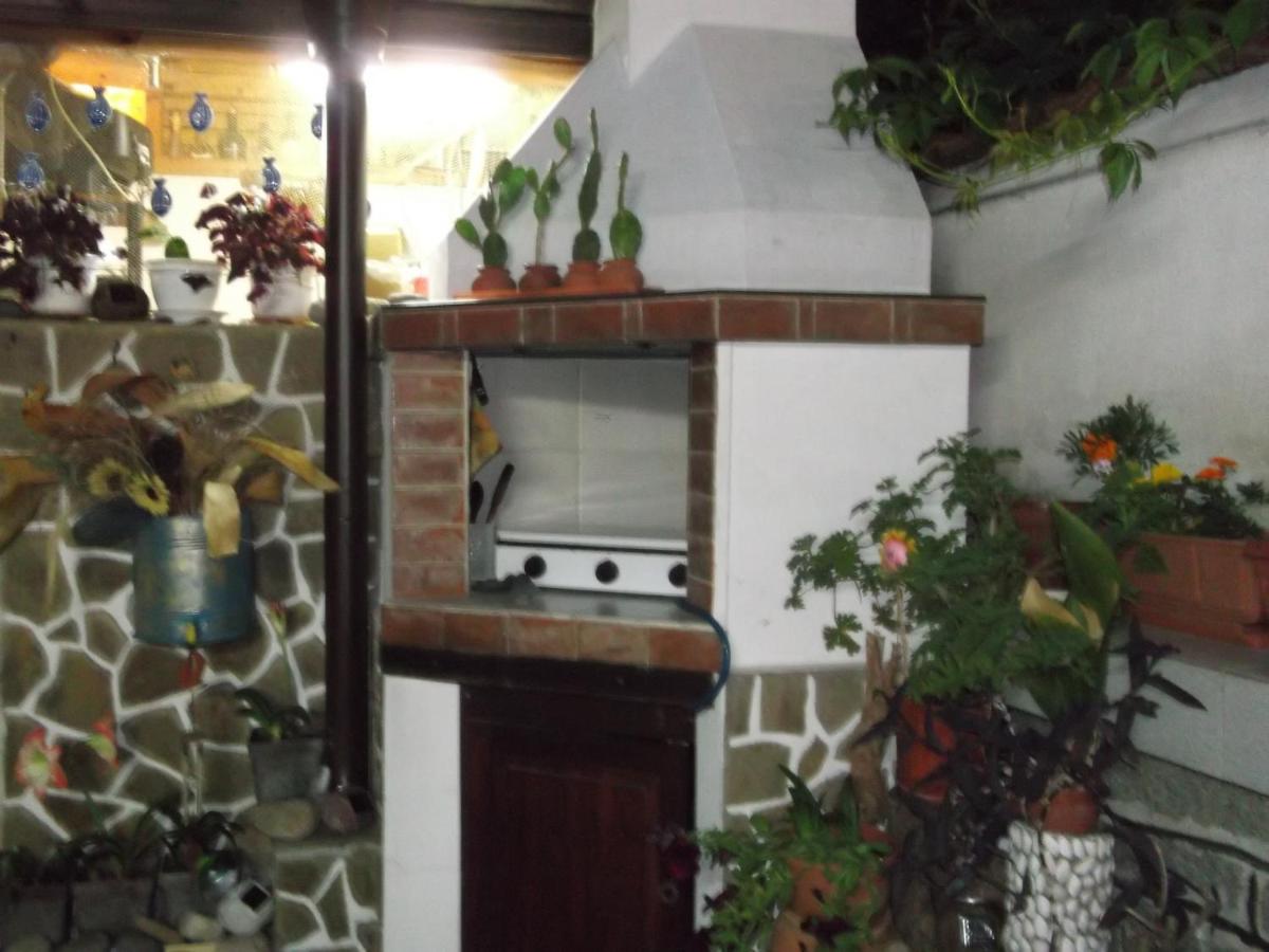 Guest House Plavas