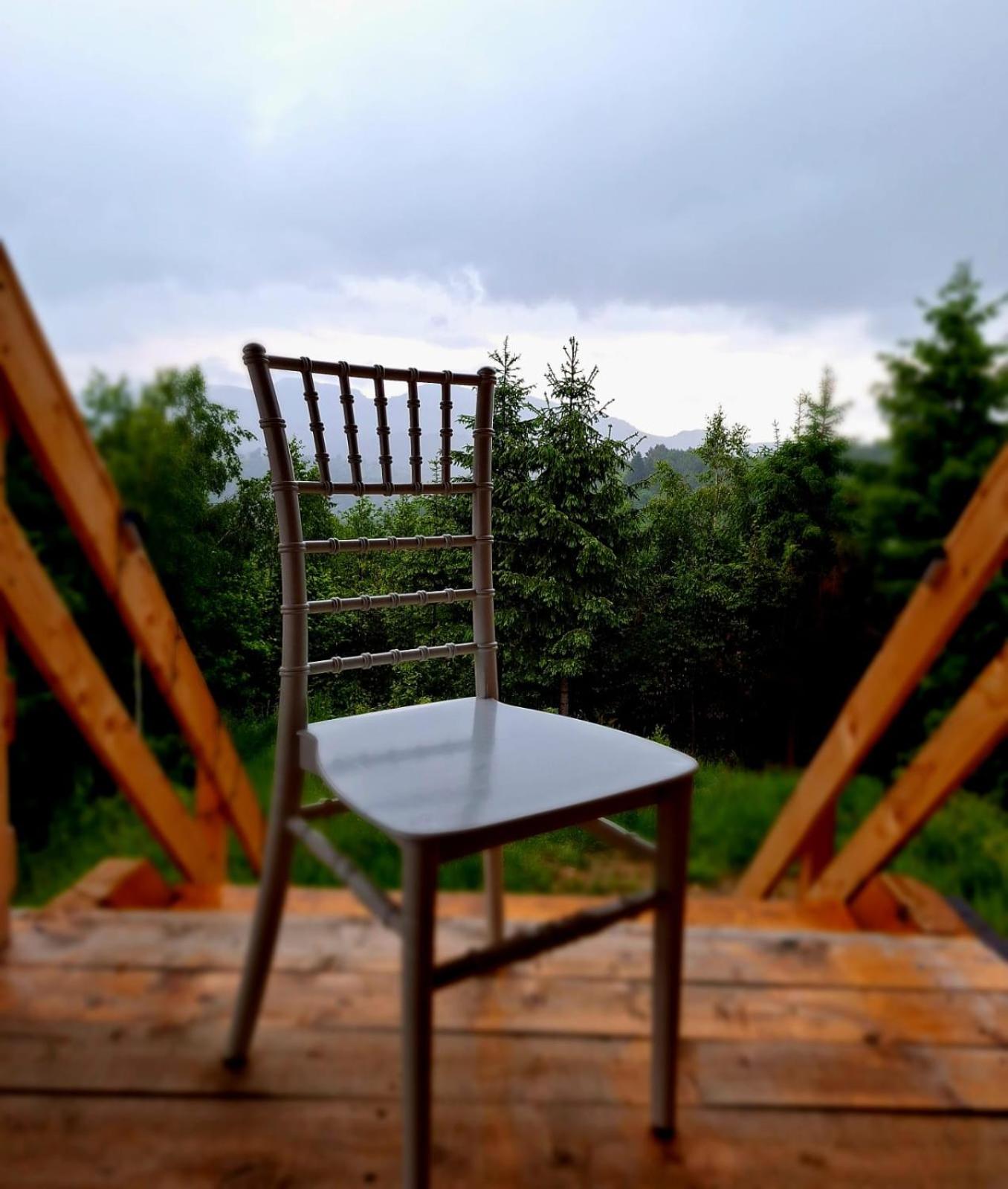 Cabana doi mesteceni