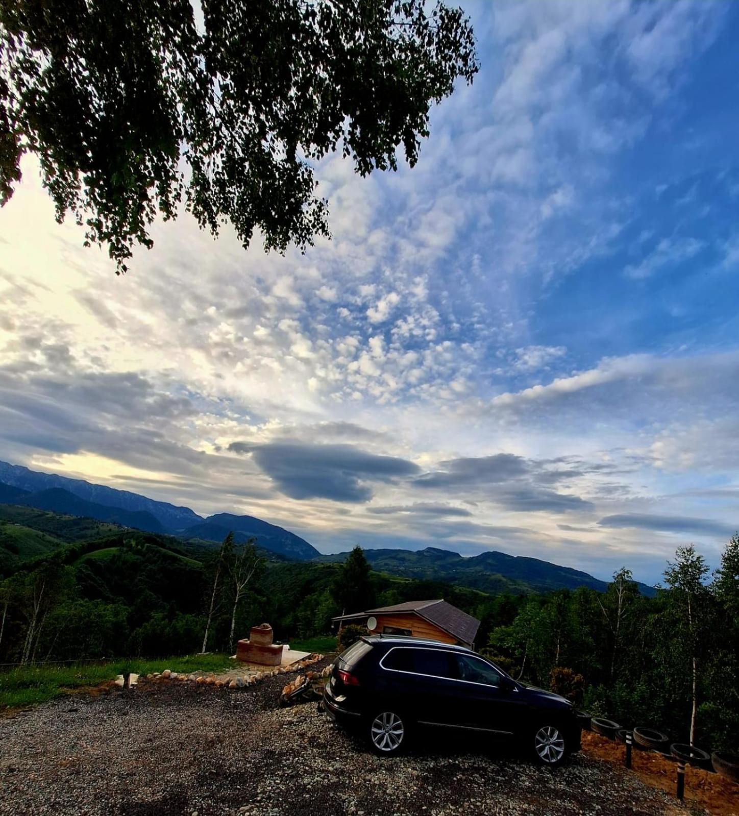 Cabana doi mesteceni