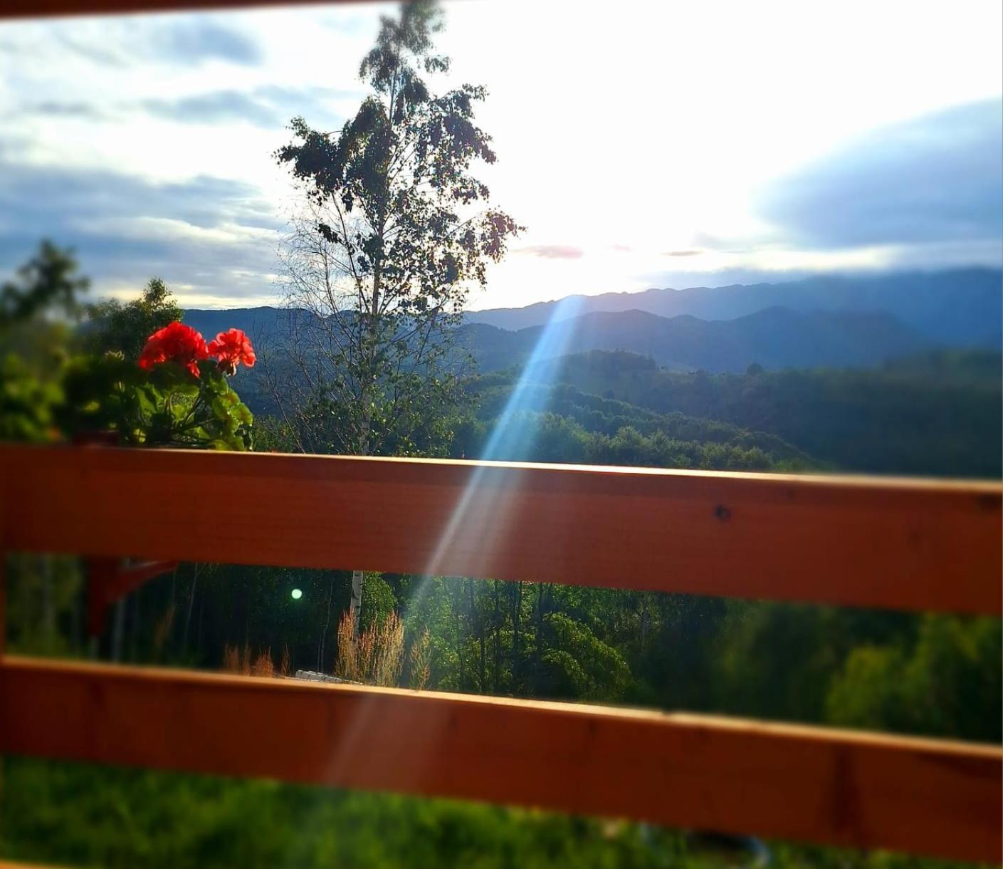 Cabana doi mesteceni