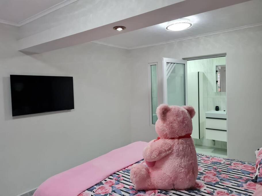 Beautiful Floor Apartment Curacao