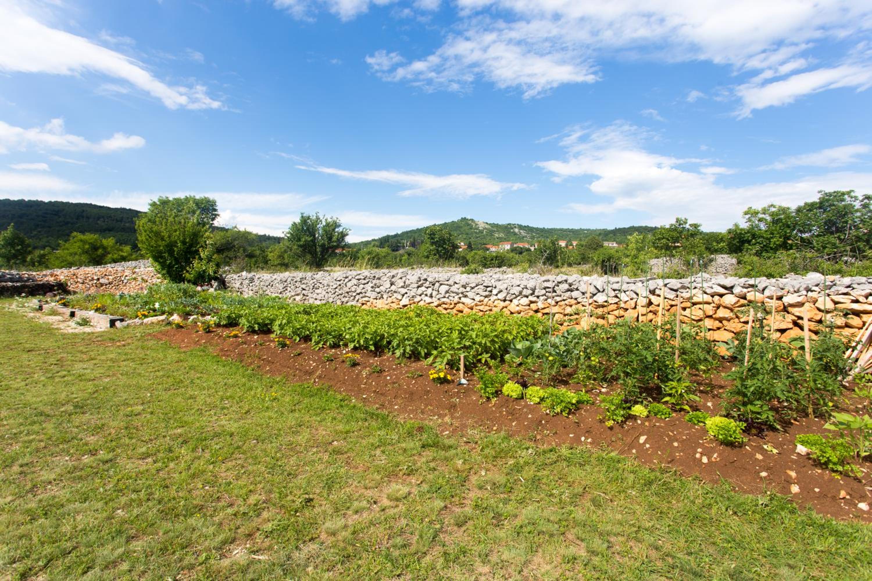 Luxury Villa Lunika near Brela, Baska Voda, Makarska photo 3
