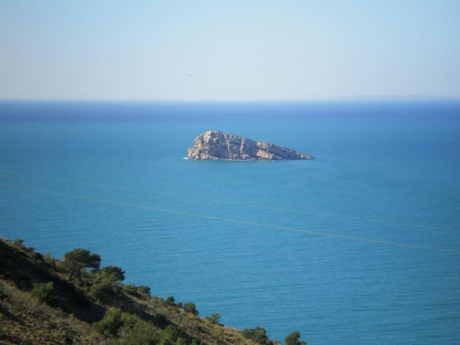 Photo 12