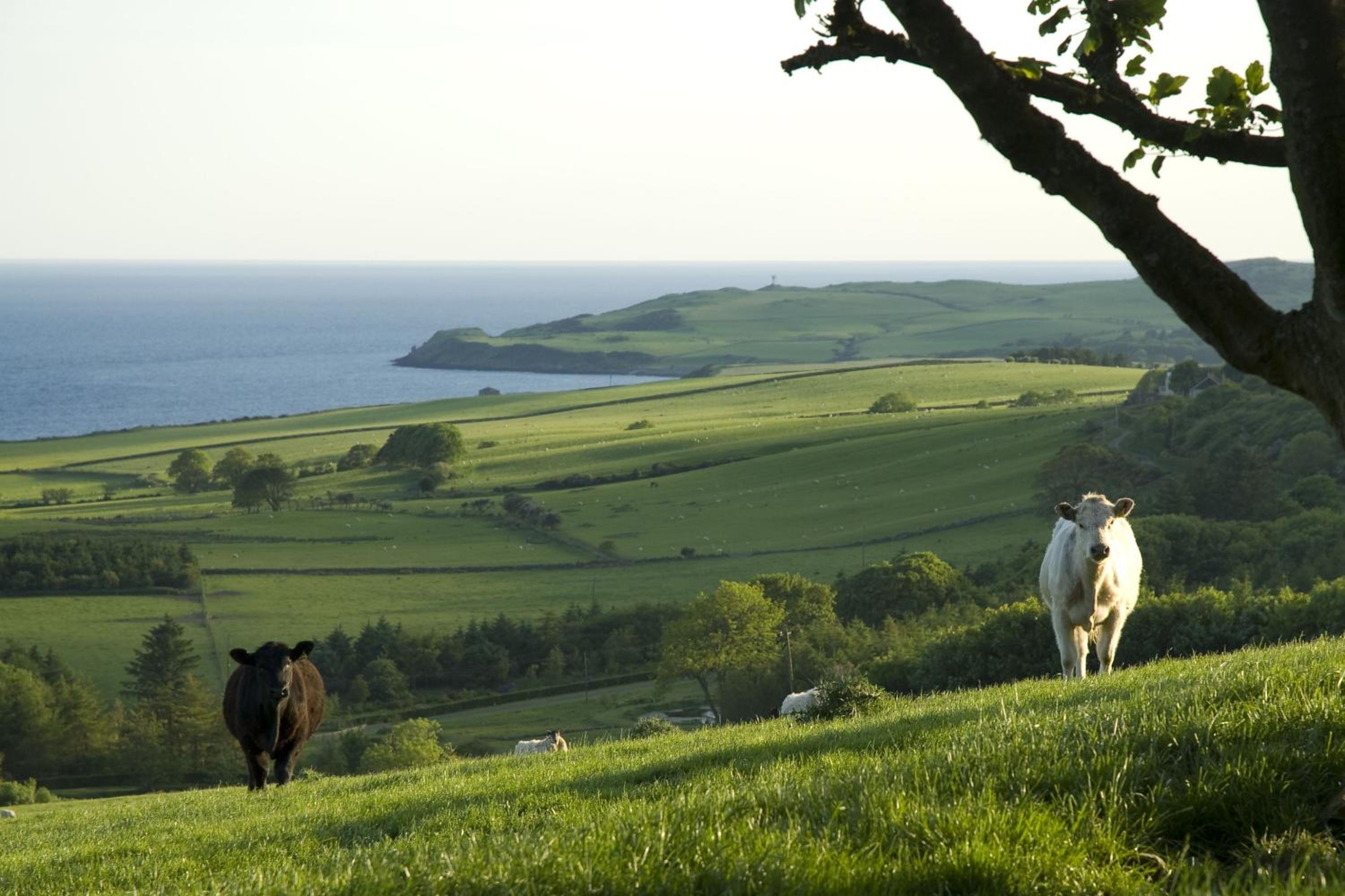 Orroland Holiday Cottages