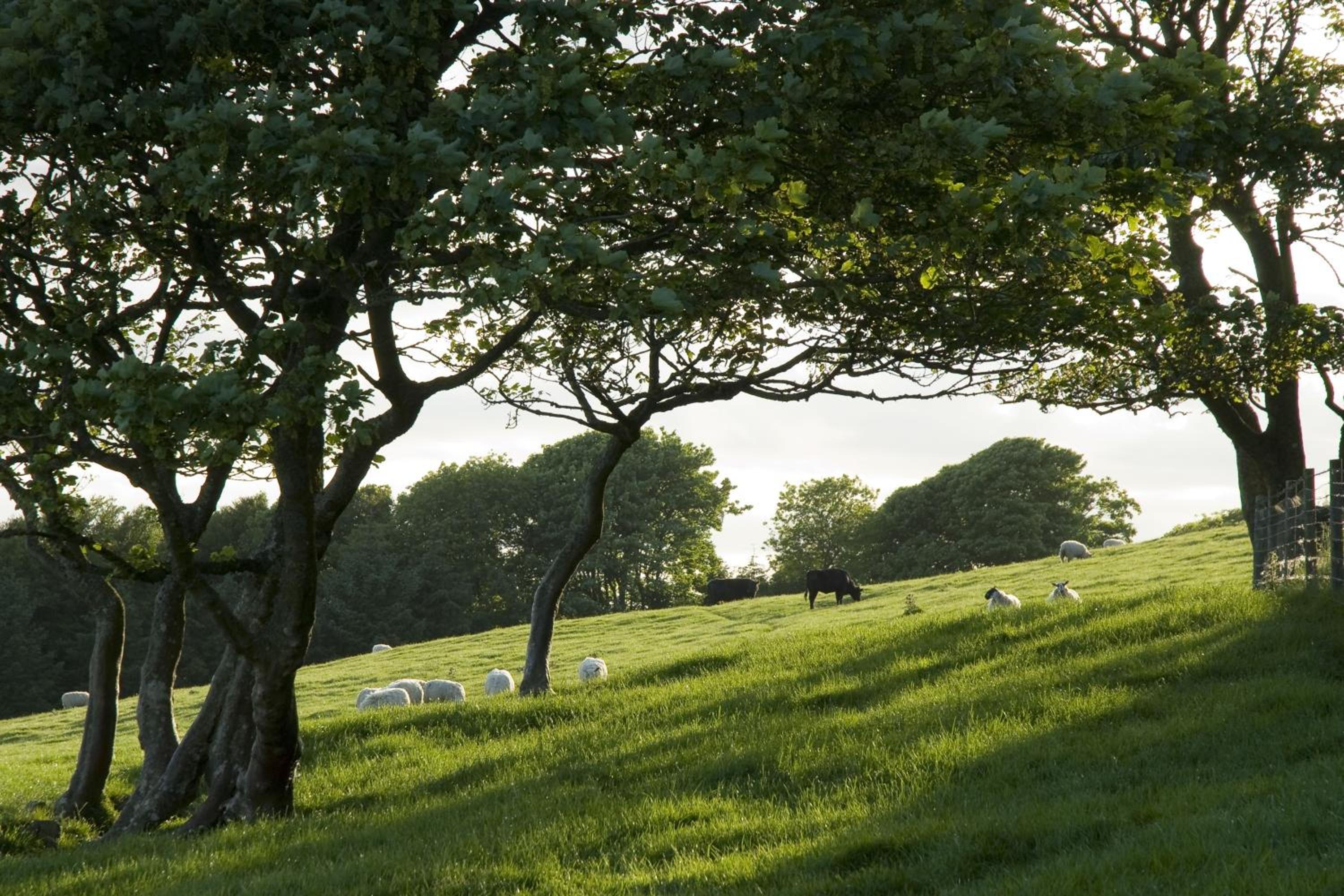 Orroland Holiday Cottages