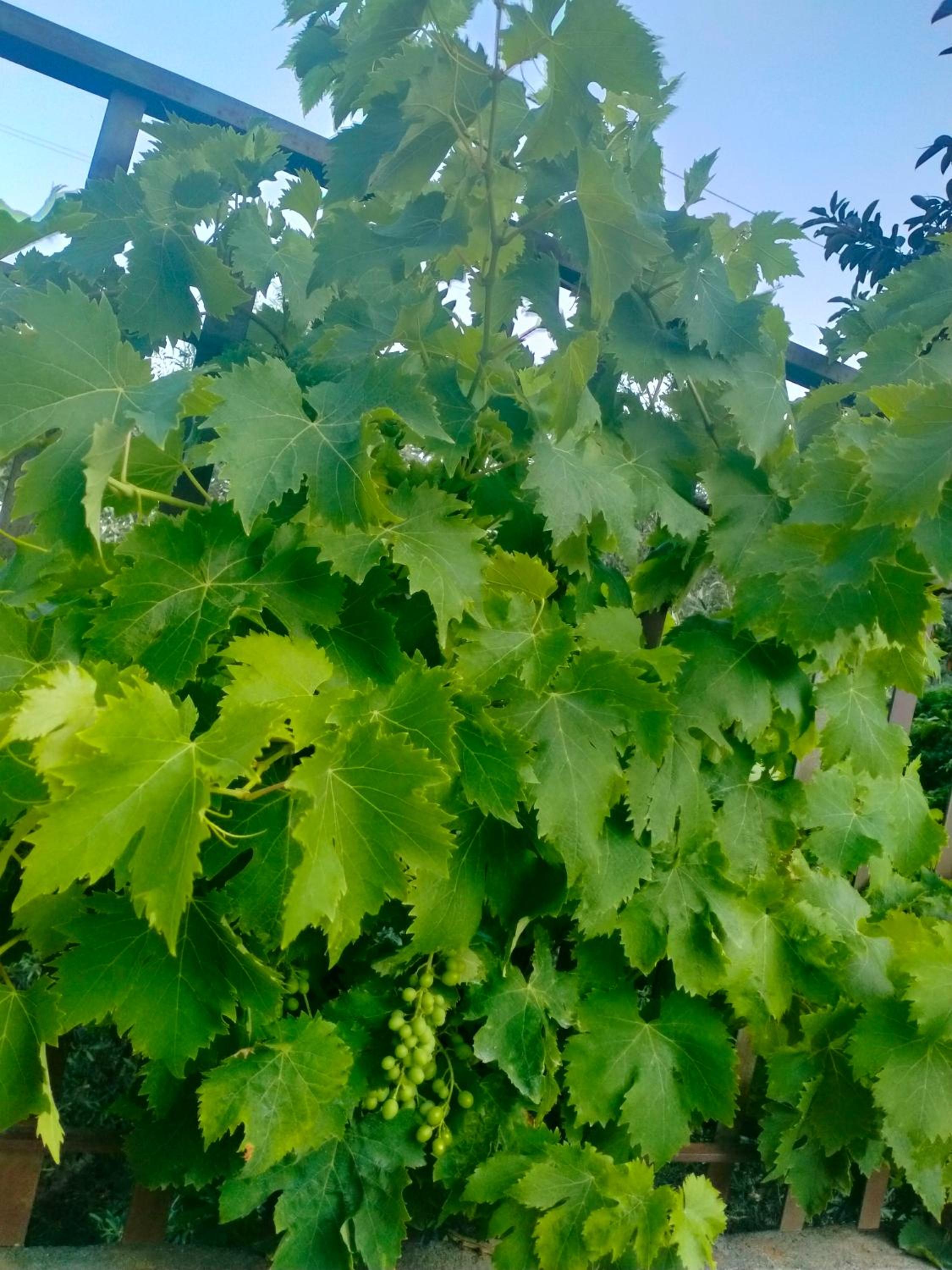 b&b Il Siriaco