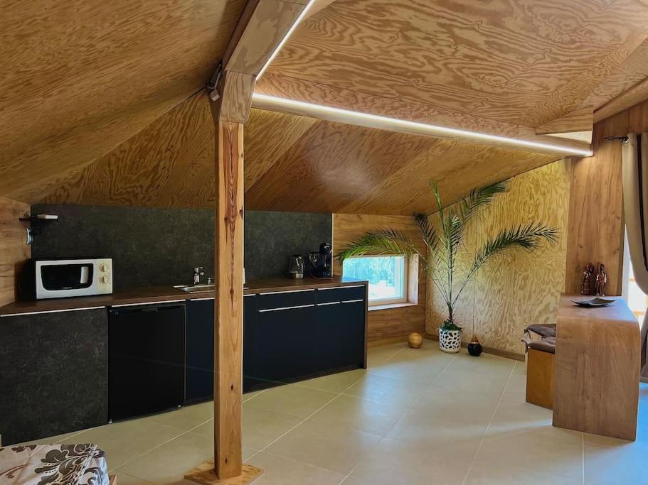 Seagull Studio Byala