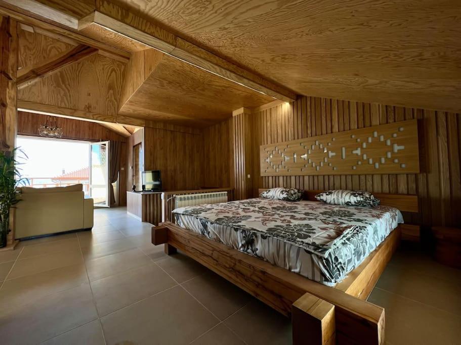 Seagull Studio Byala