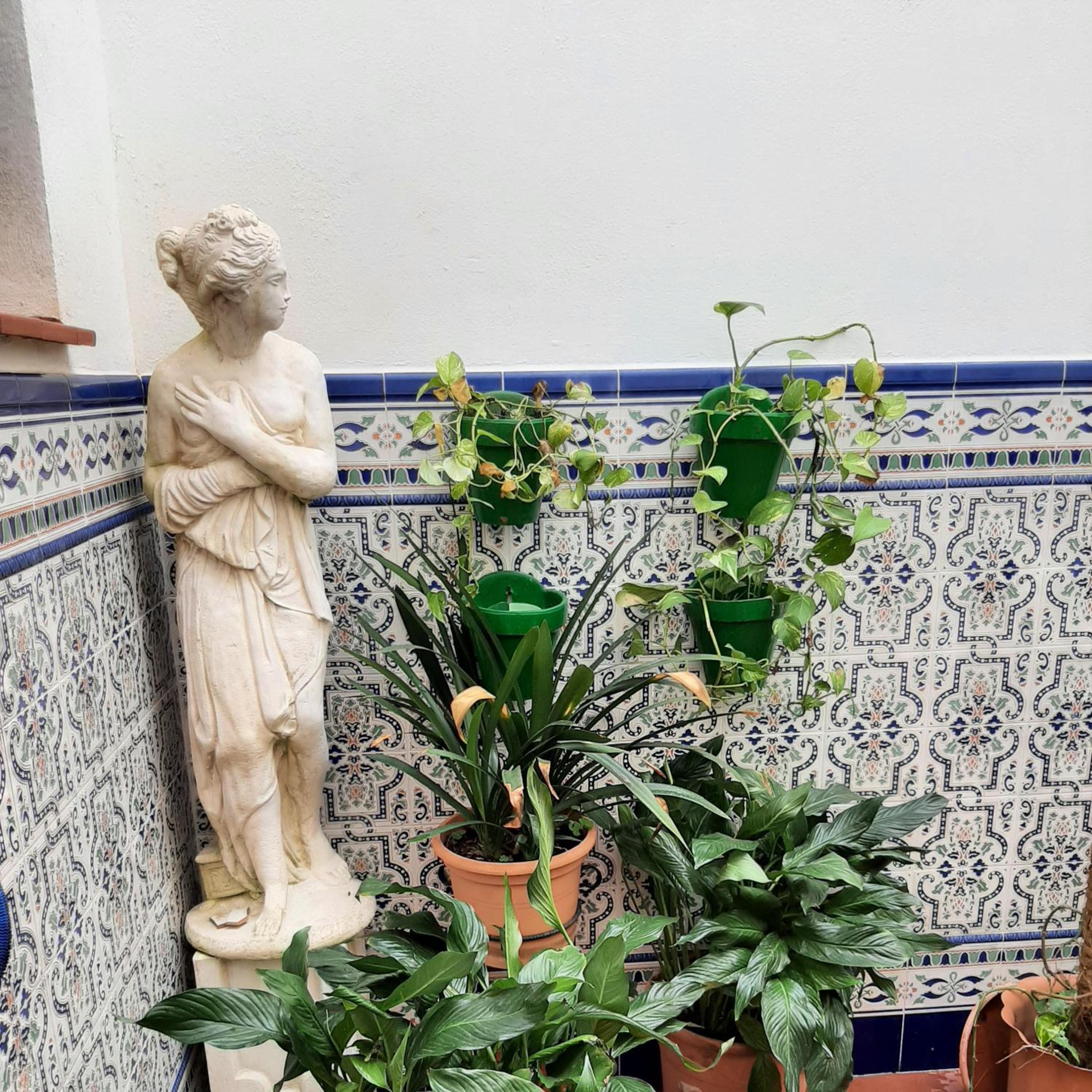 Sotel Valle Guadiaro