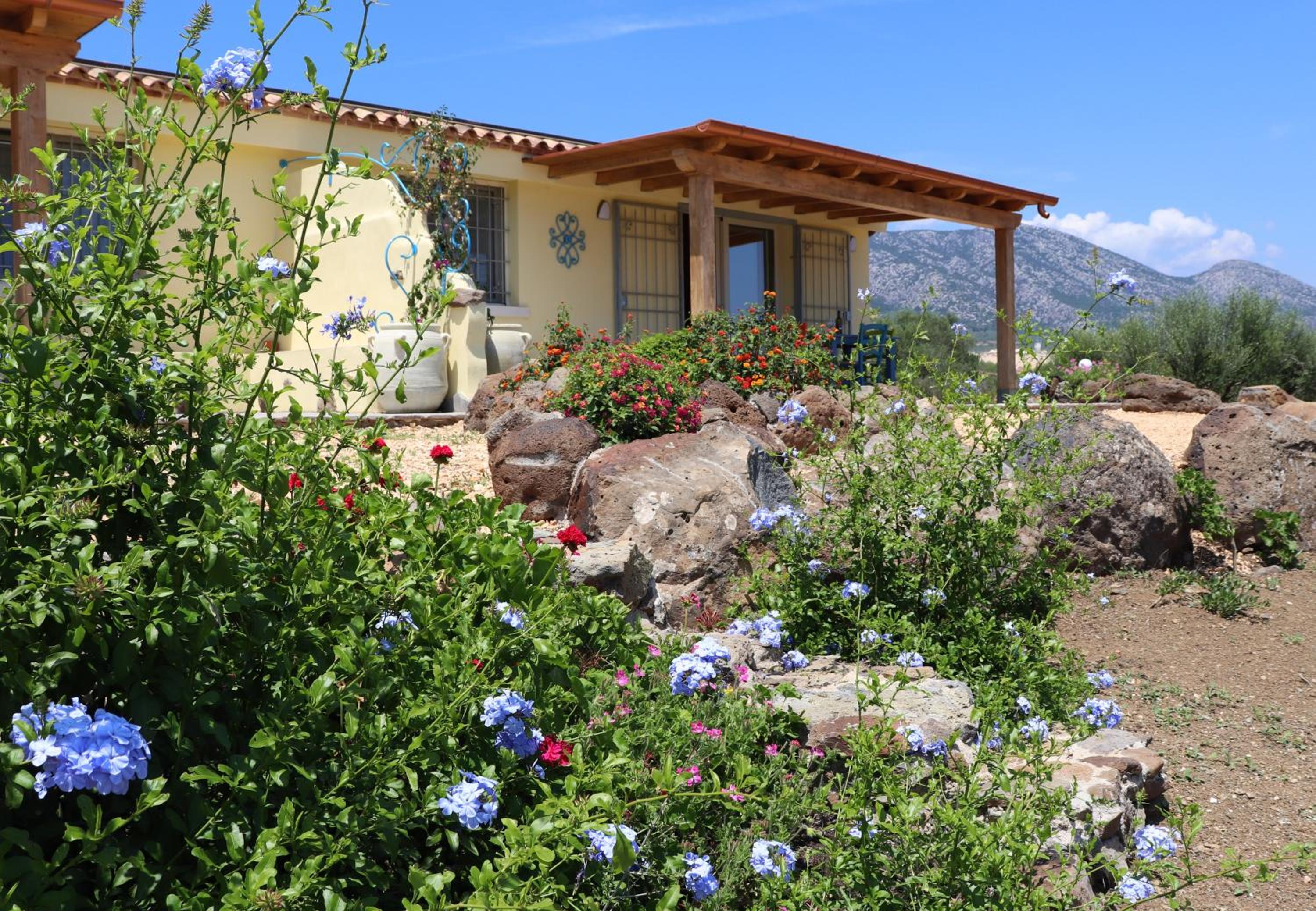 Country villa Sant' Elène - Appartamento Olivo