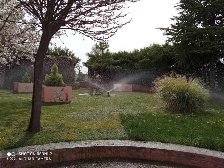 Finca DeNuñez