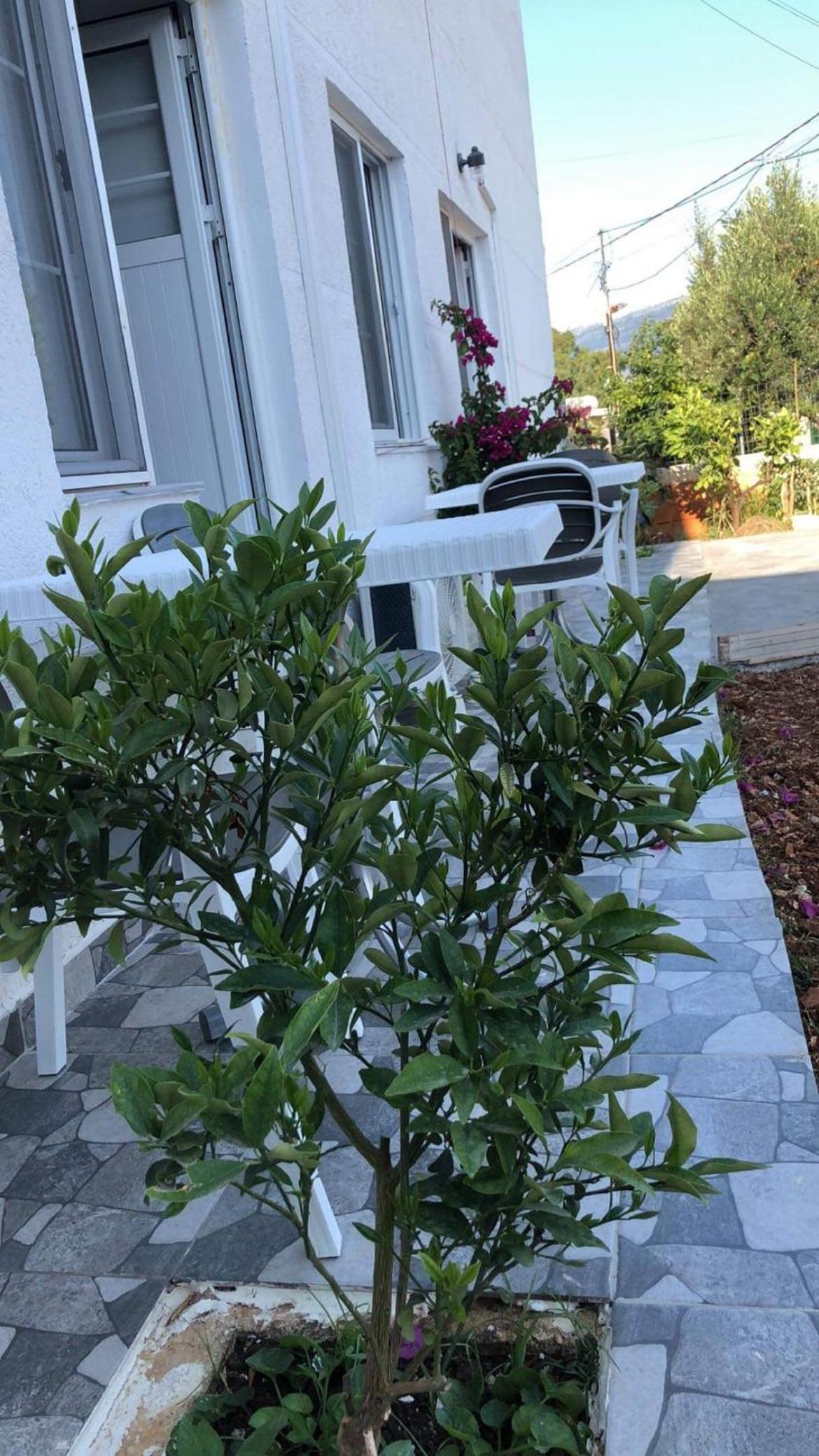 Lalaj Guesthouse