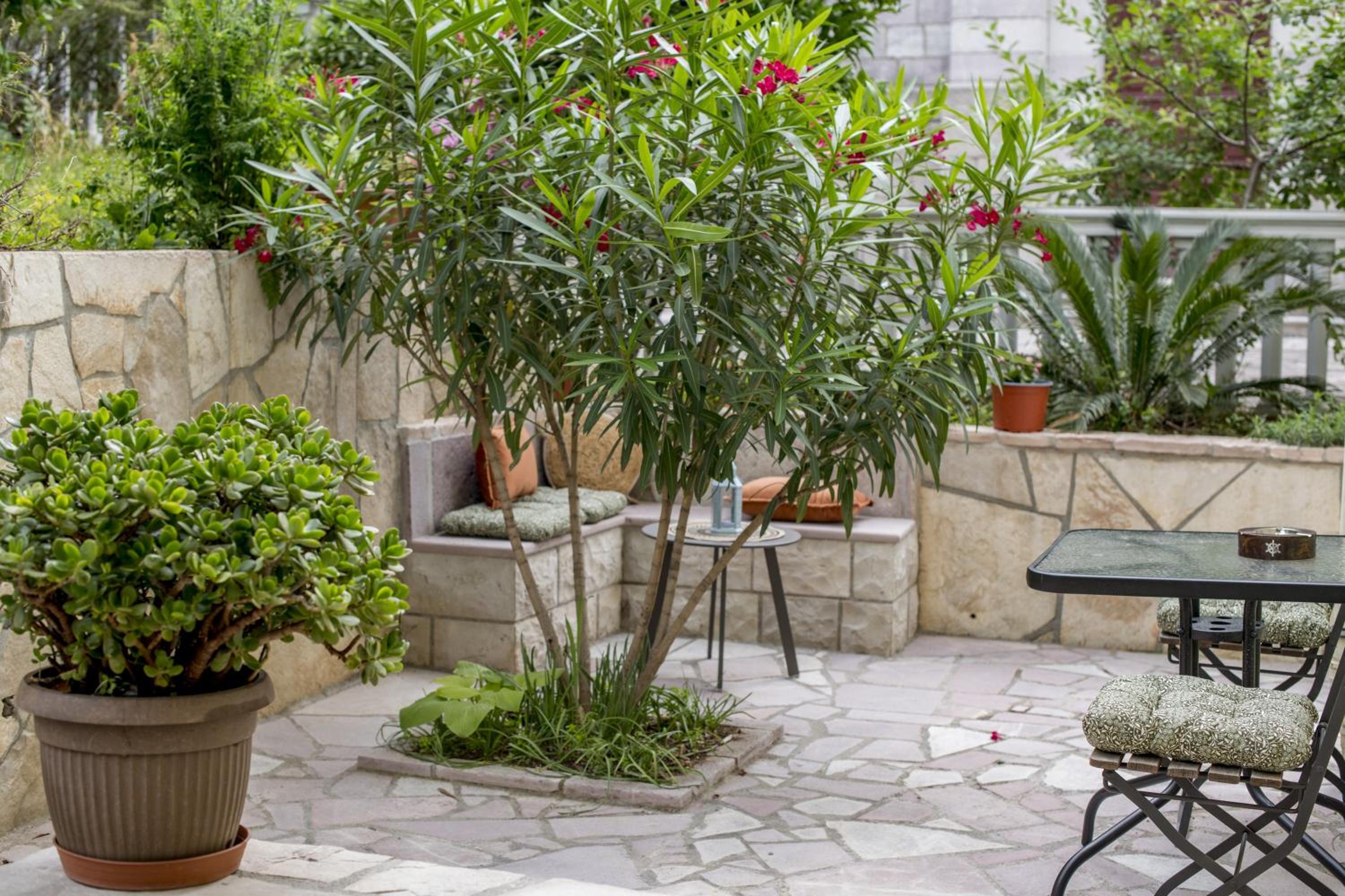 Studio Apartments Summer Time photo 3