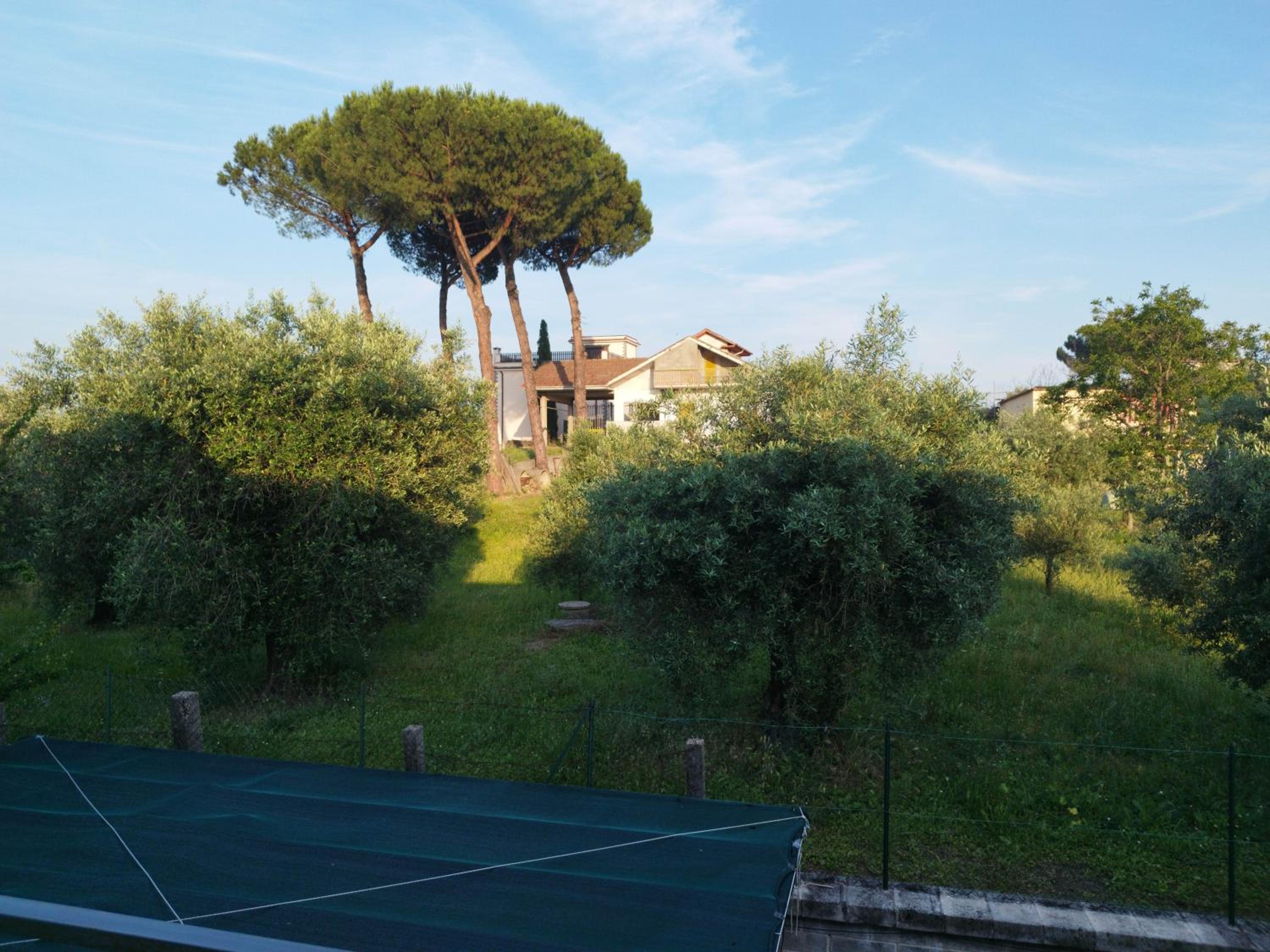 Luciano Relax Apartment