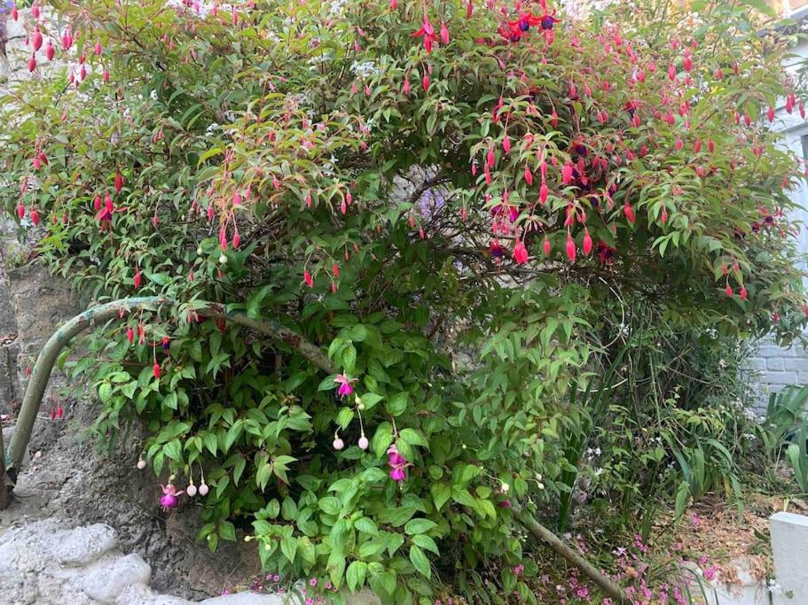 Photo 14
