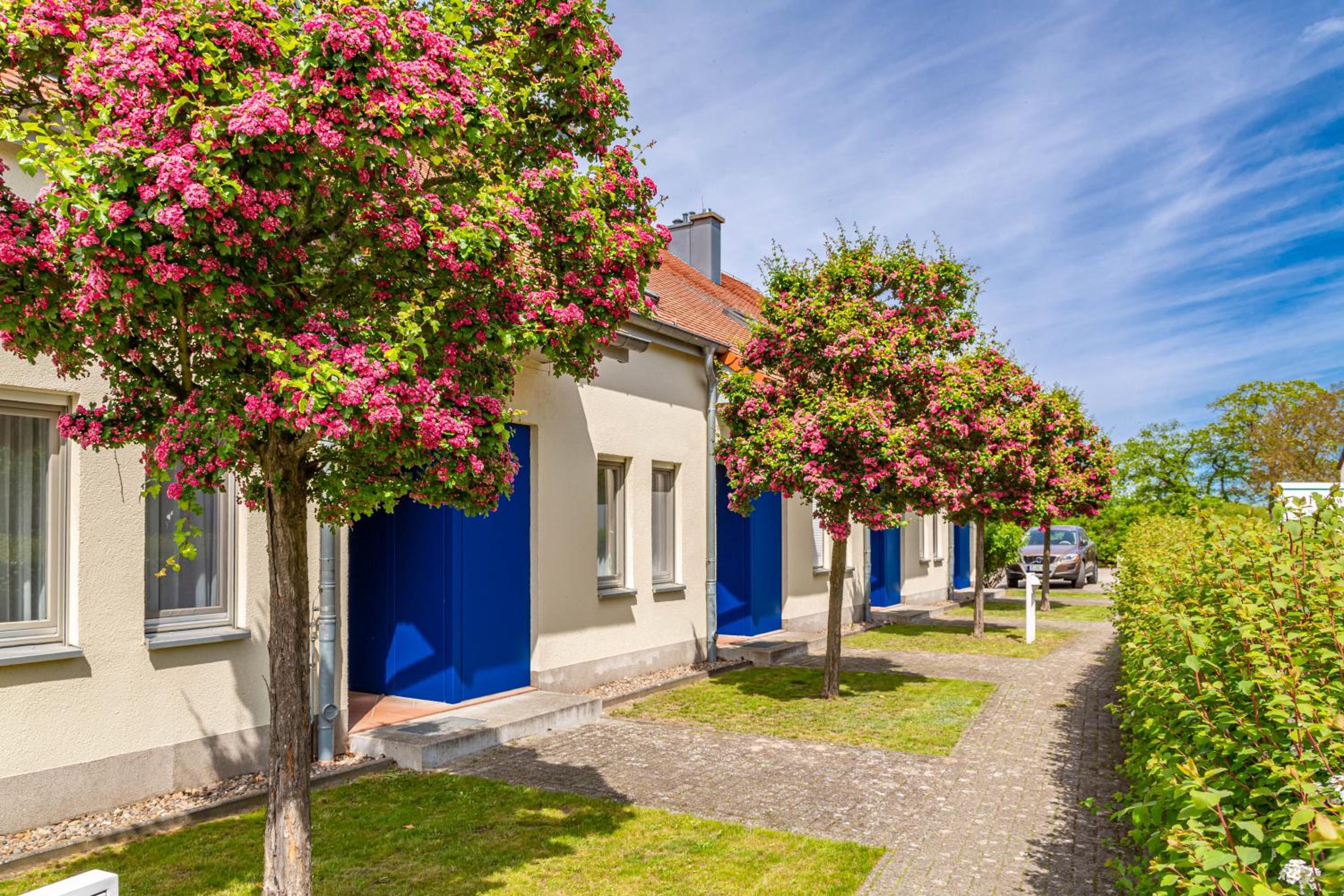 Apartment Biber mit Terrasse