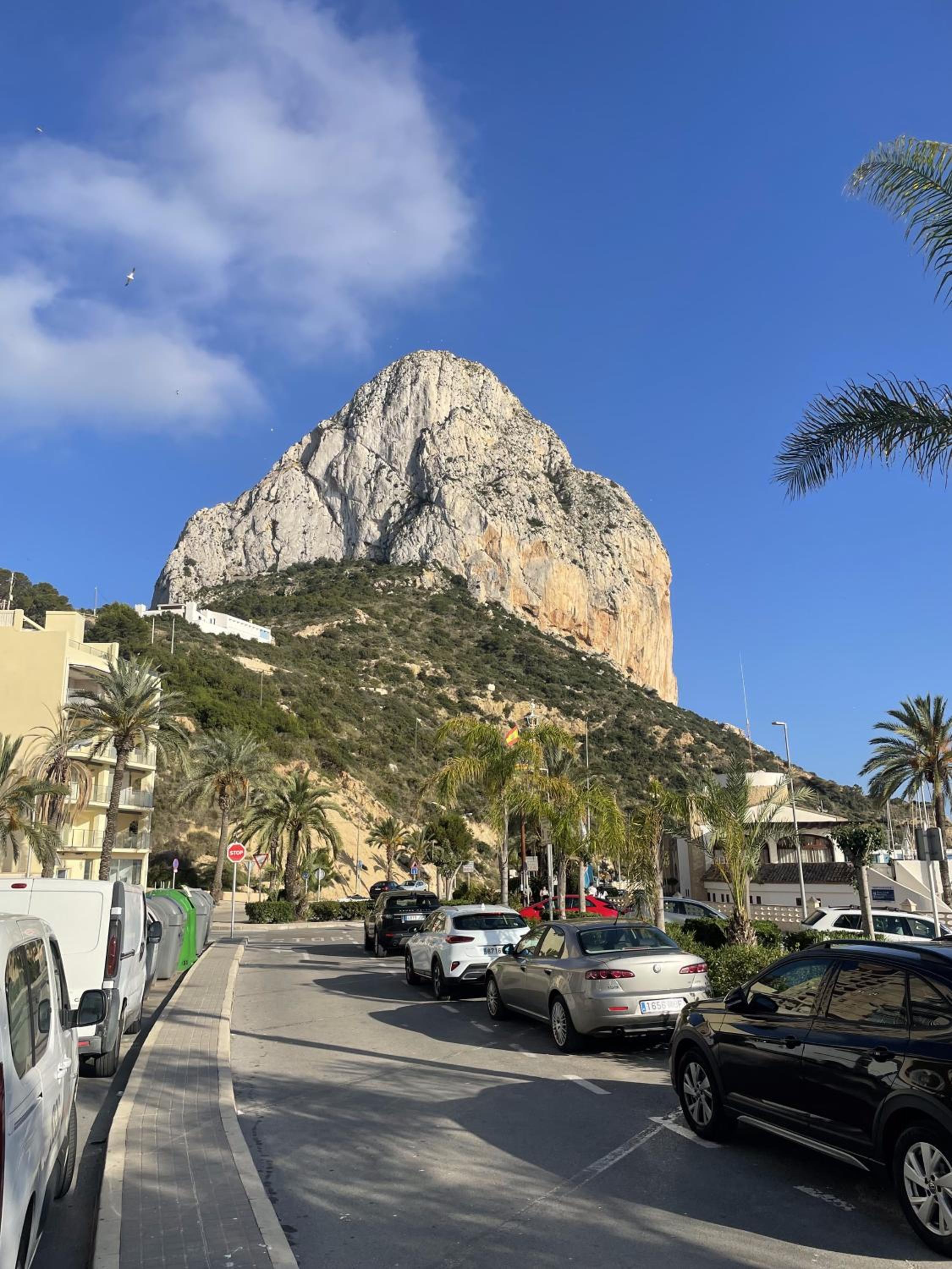 PARAISO NACARADO GANDIA GRAU