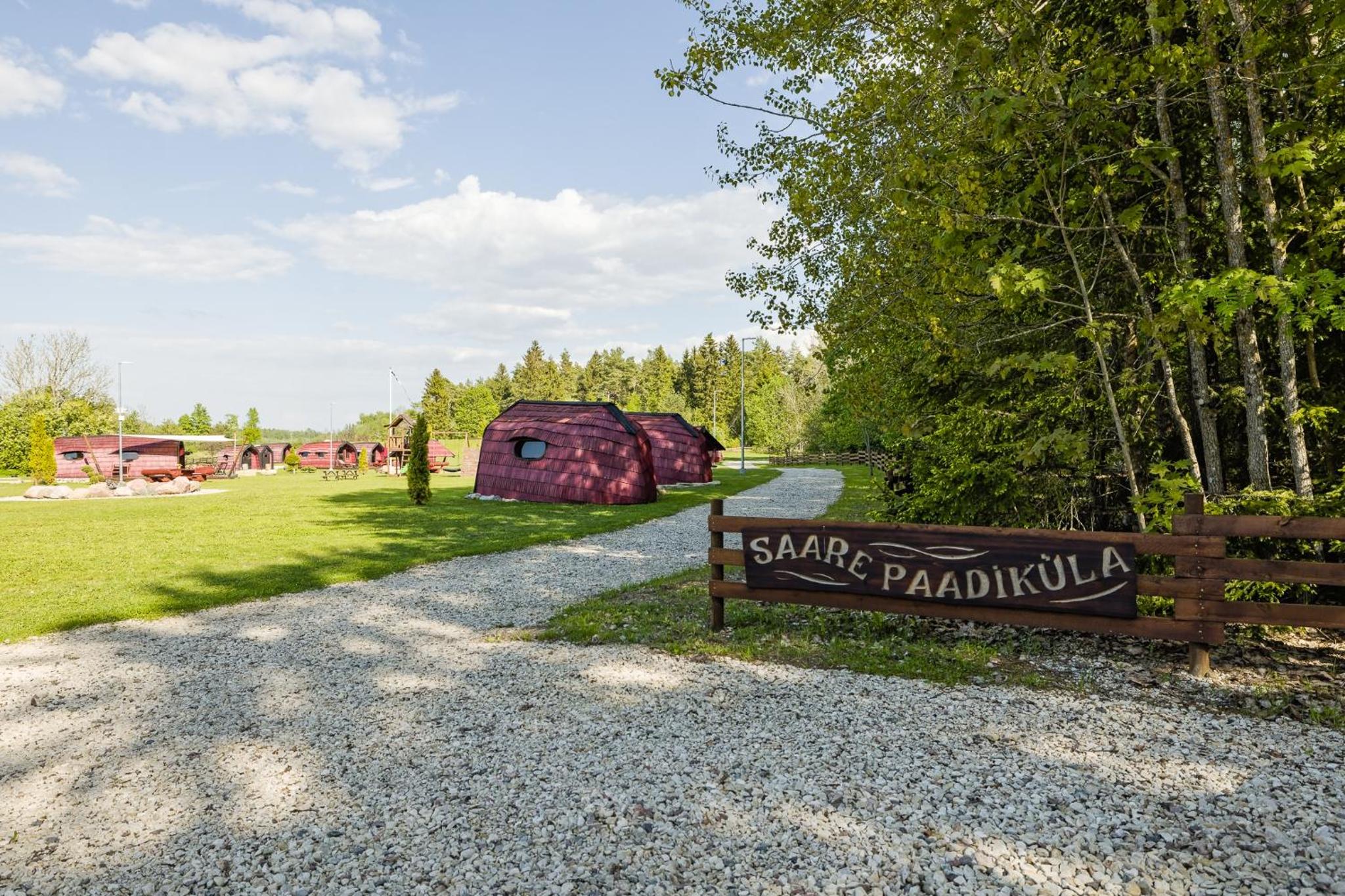 Saare Paadiküla