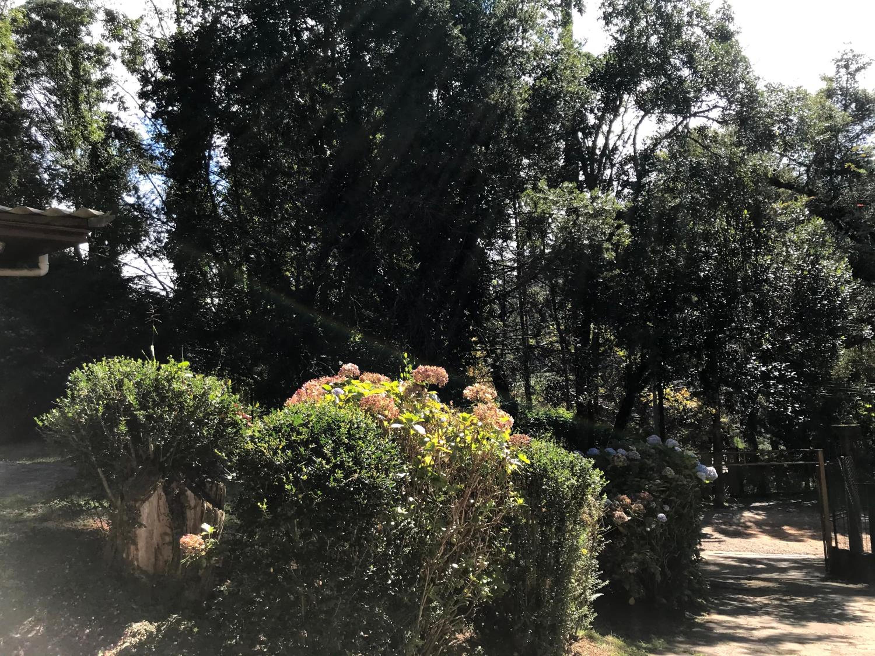 Casa de vidro