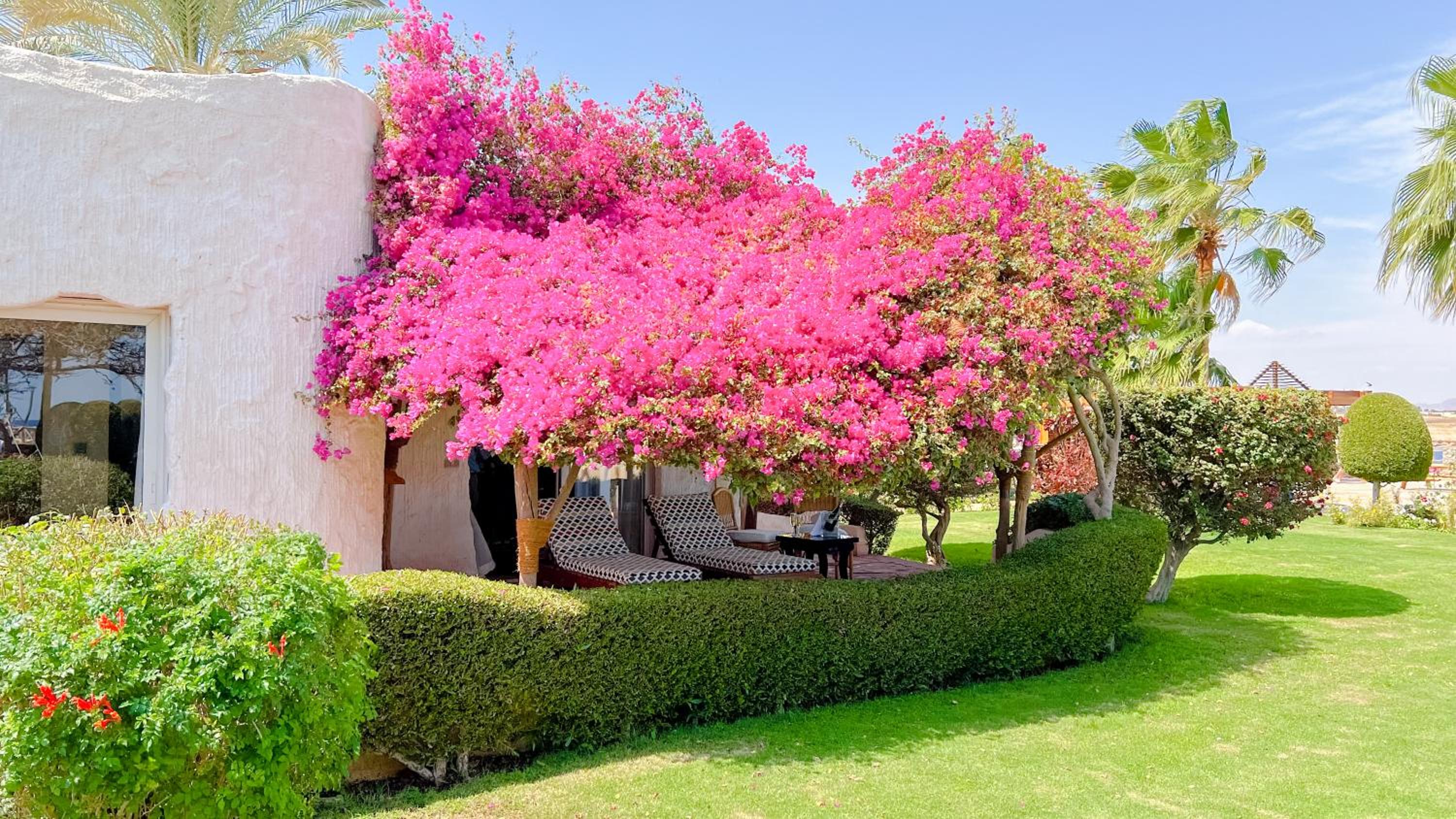 Sharm Club Beach Resort