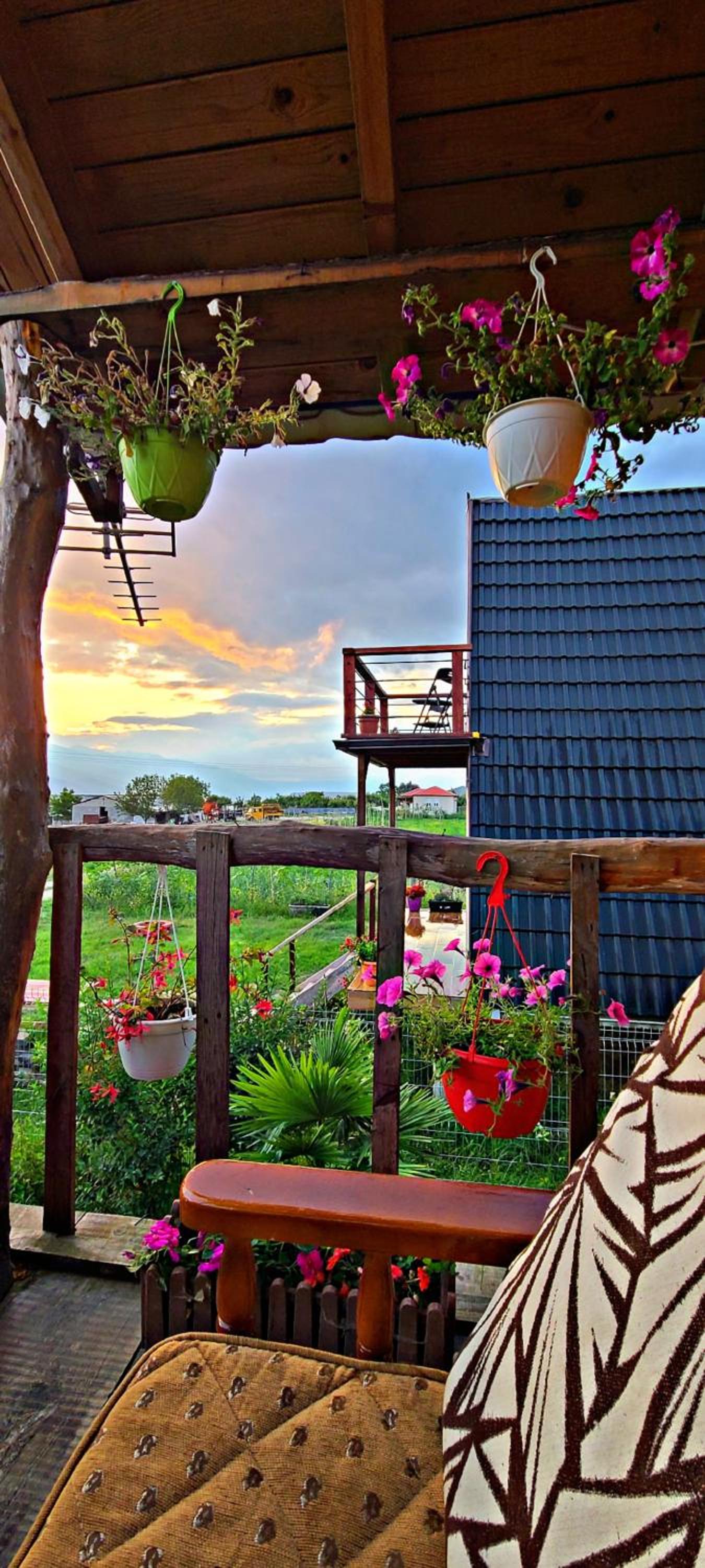 Life on the farm