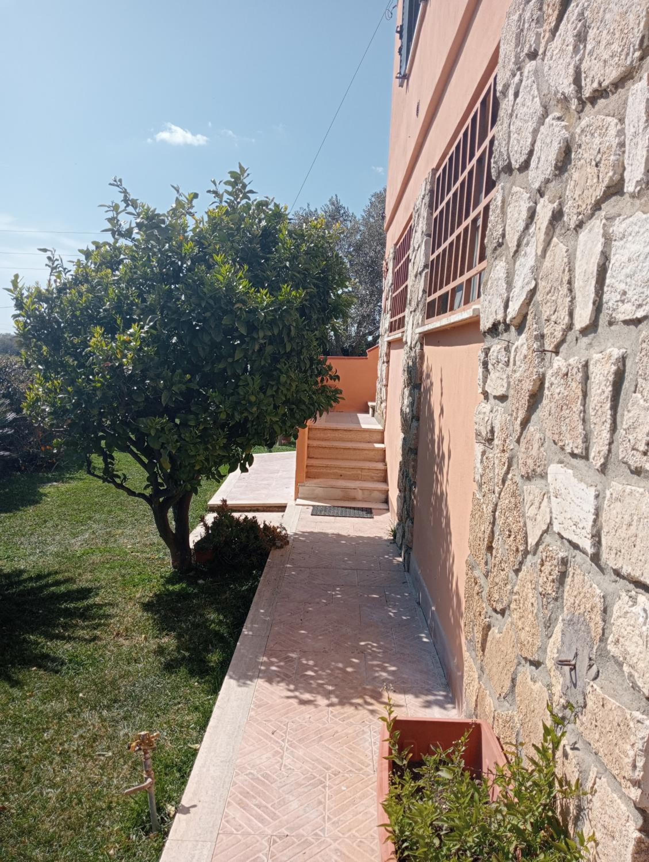 Photo 45