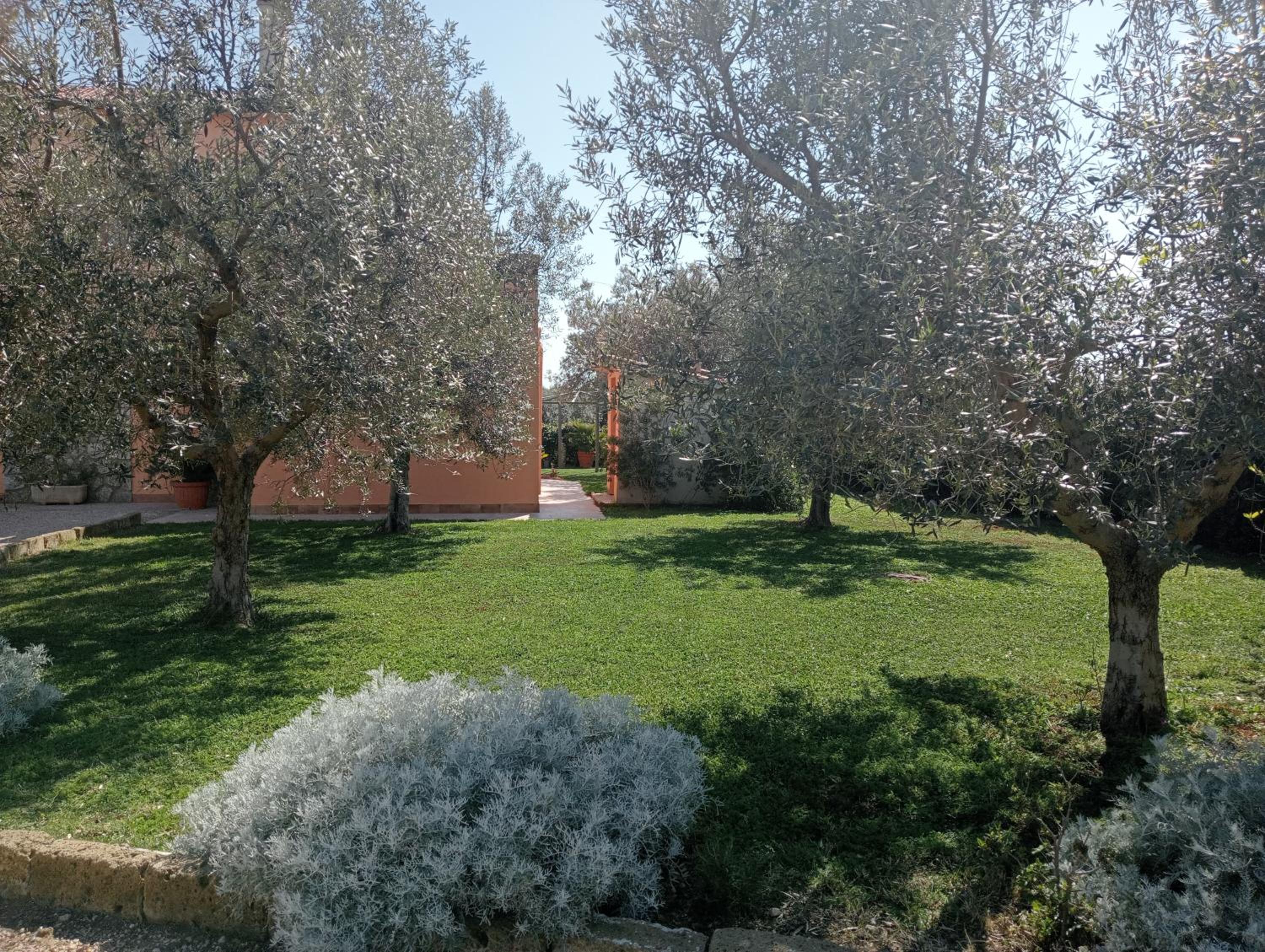 Photo 49