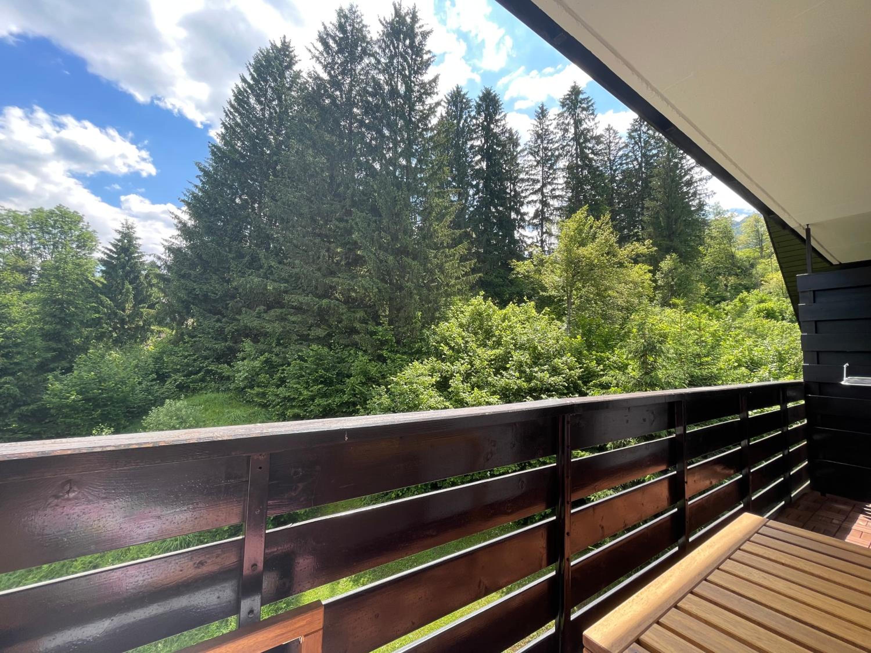 Home near Bohinj lake view 4