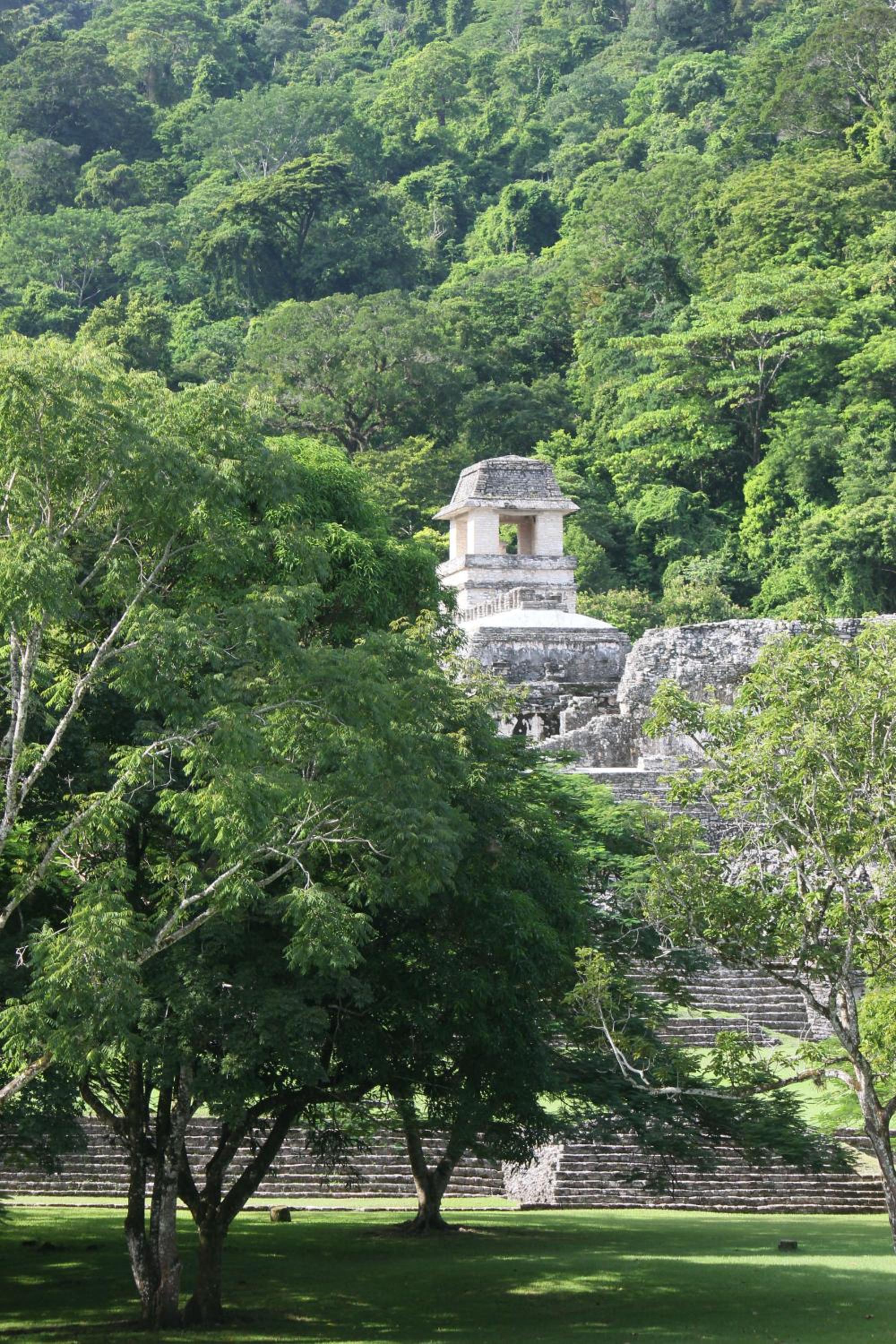Palenque Vacations - Los Susurros. Casa - Property Image 5