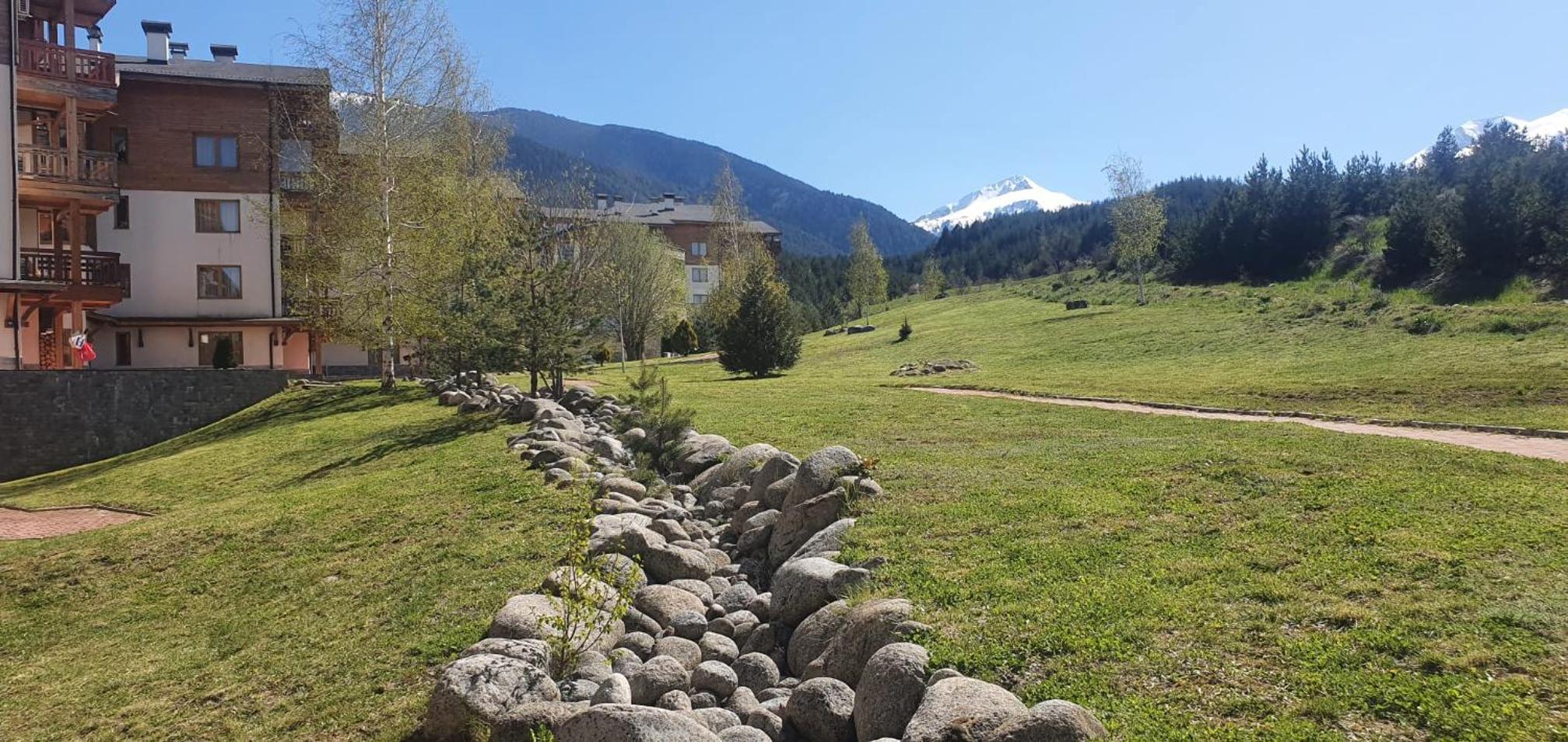Harriet Hill Designer Bansko