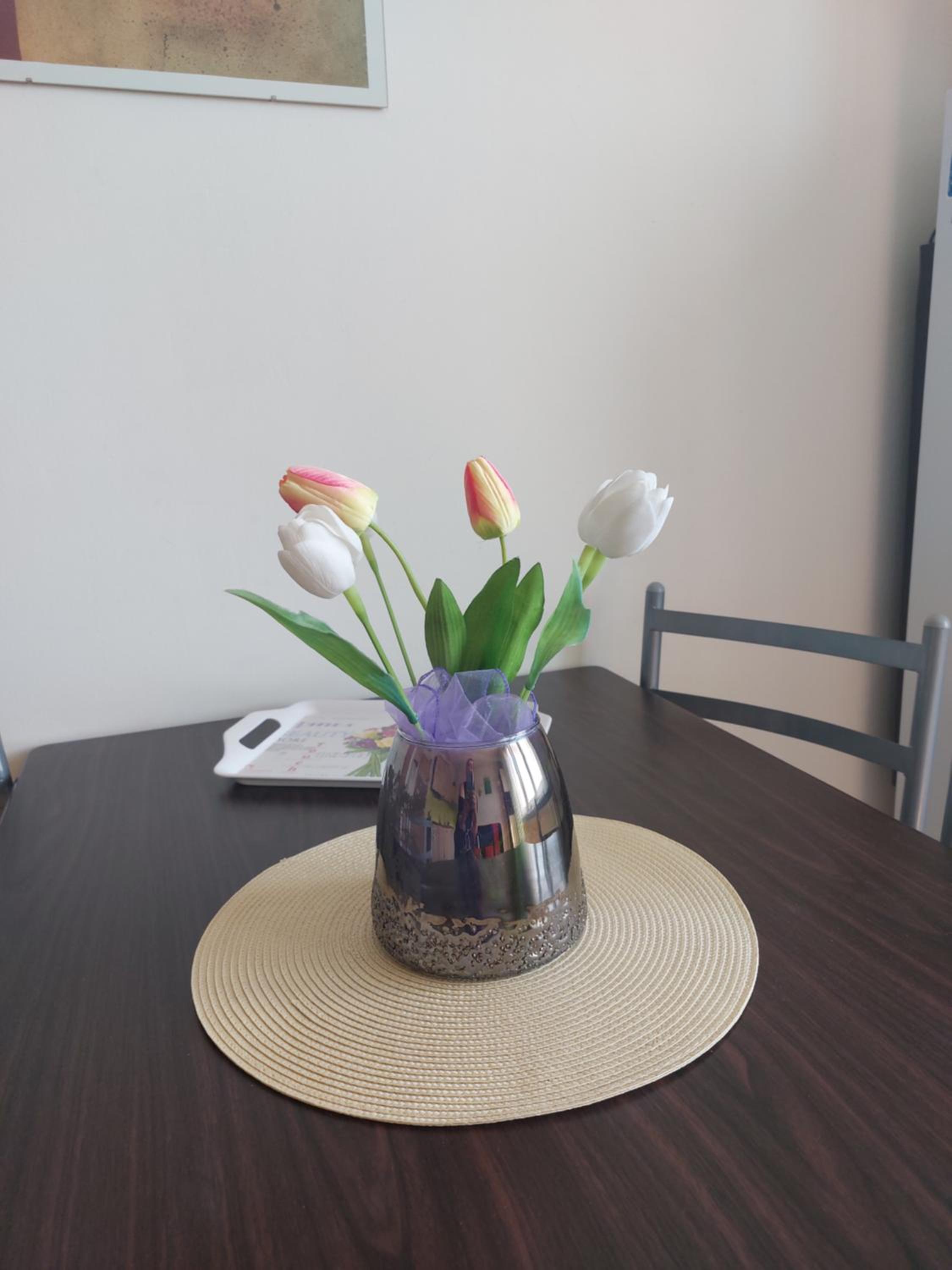Apartmán v podhůří Krušných hor