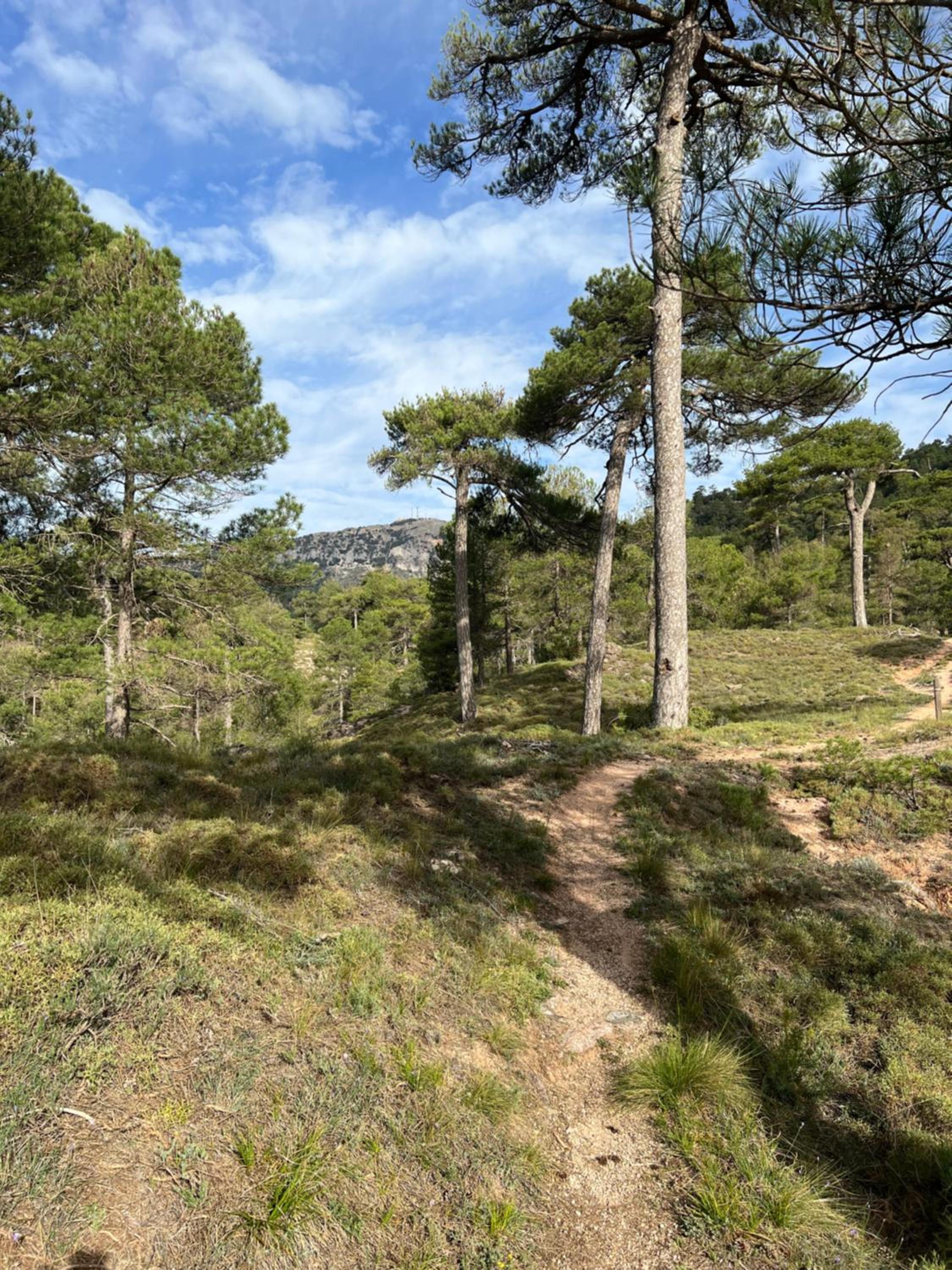 Dúplex Río Madera