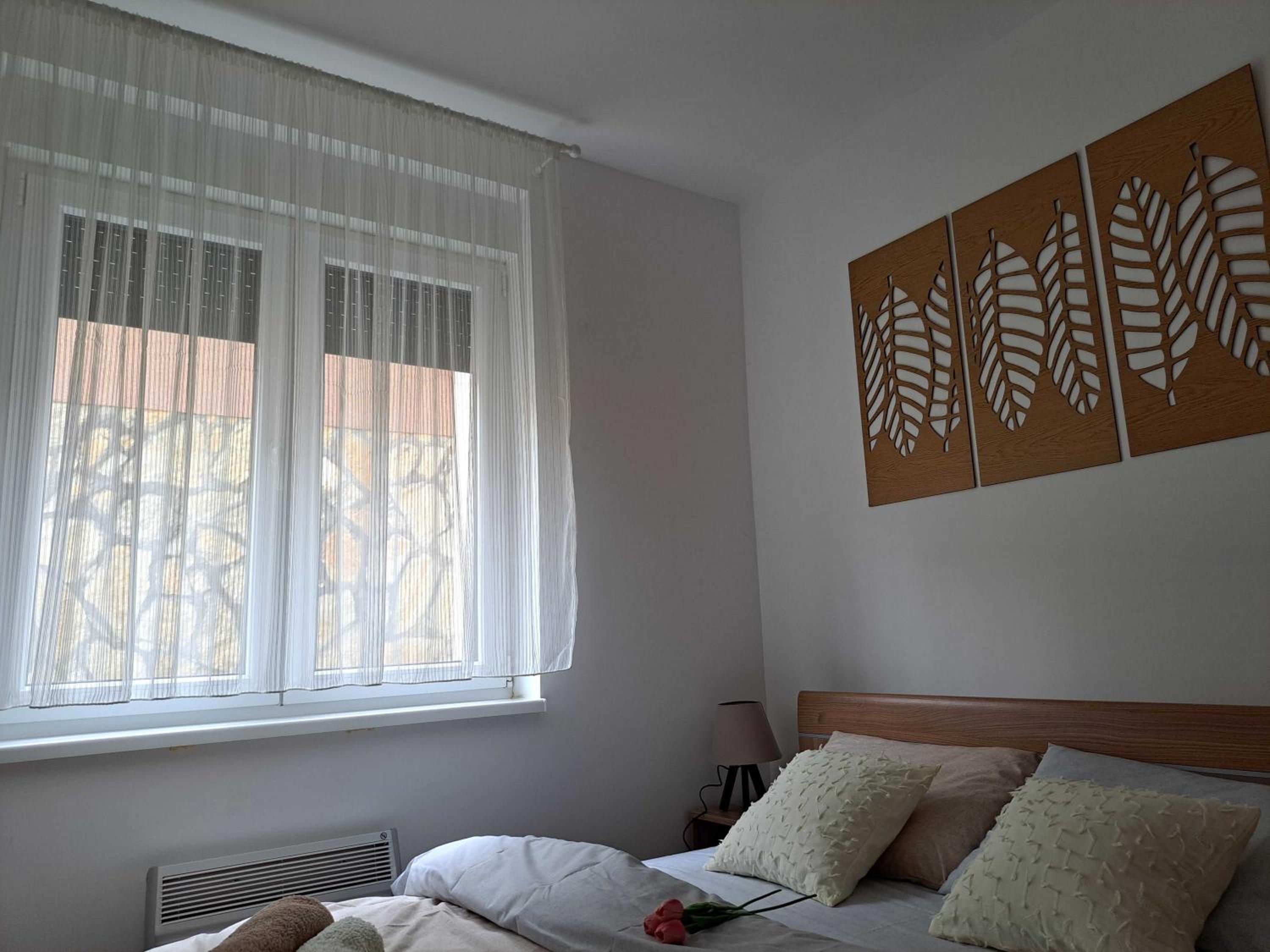 D&M Porodični apartman view 5
