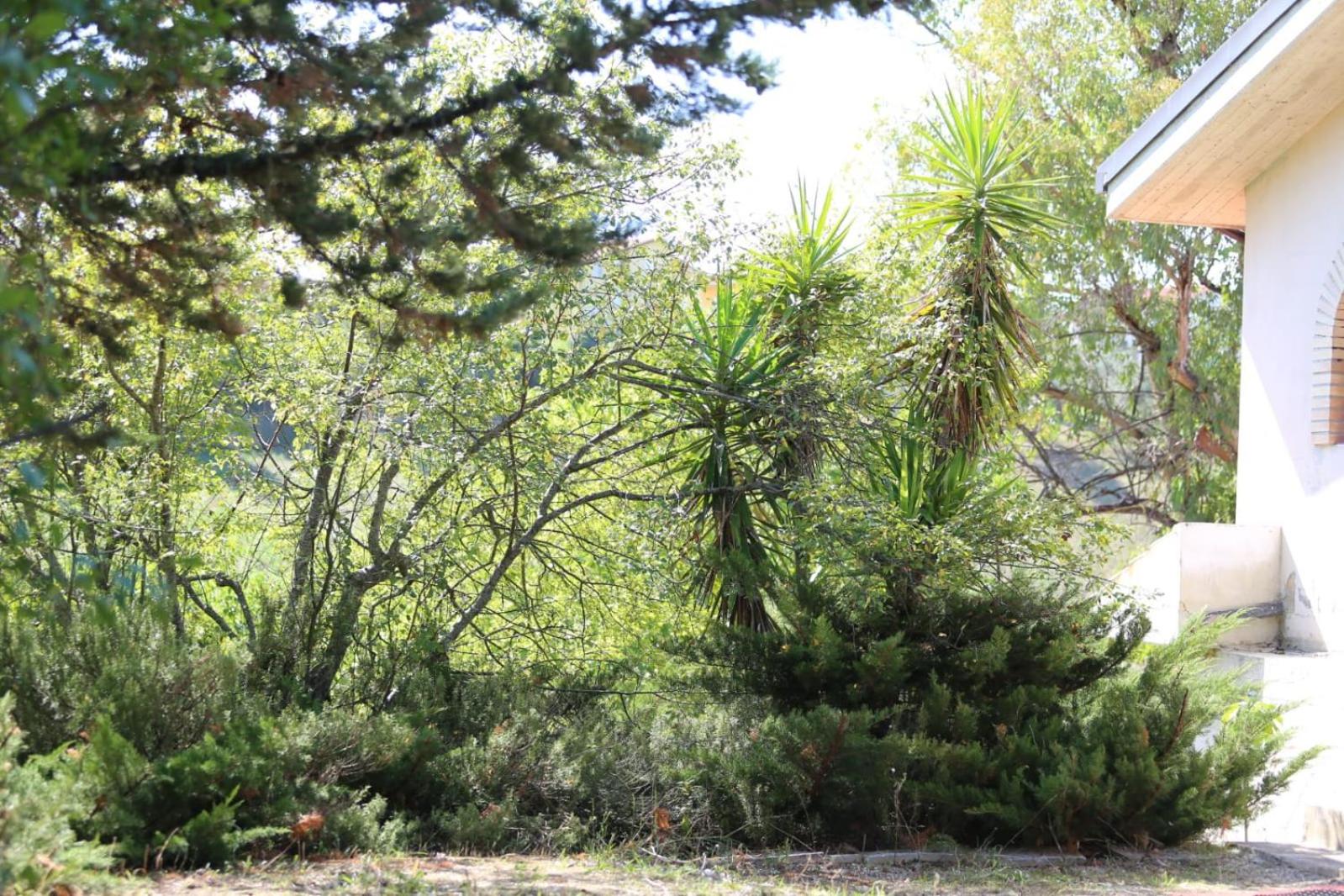 Photo 40