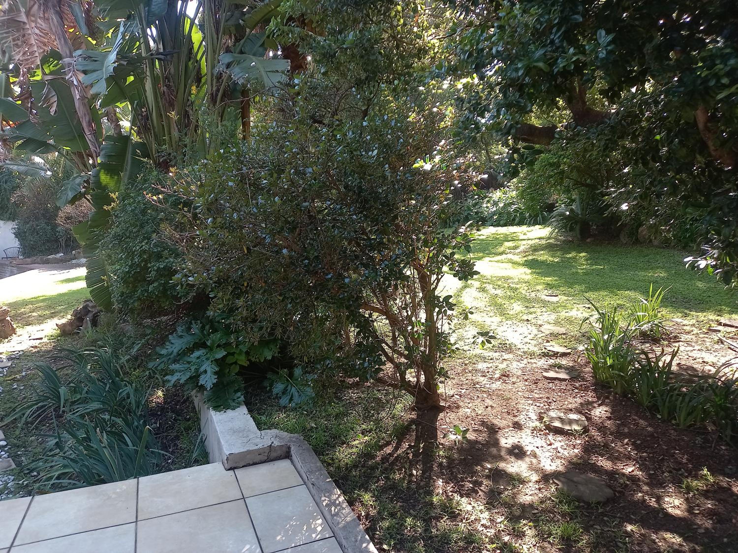 Ekuphumleni Holistic Healing Center