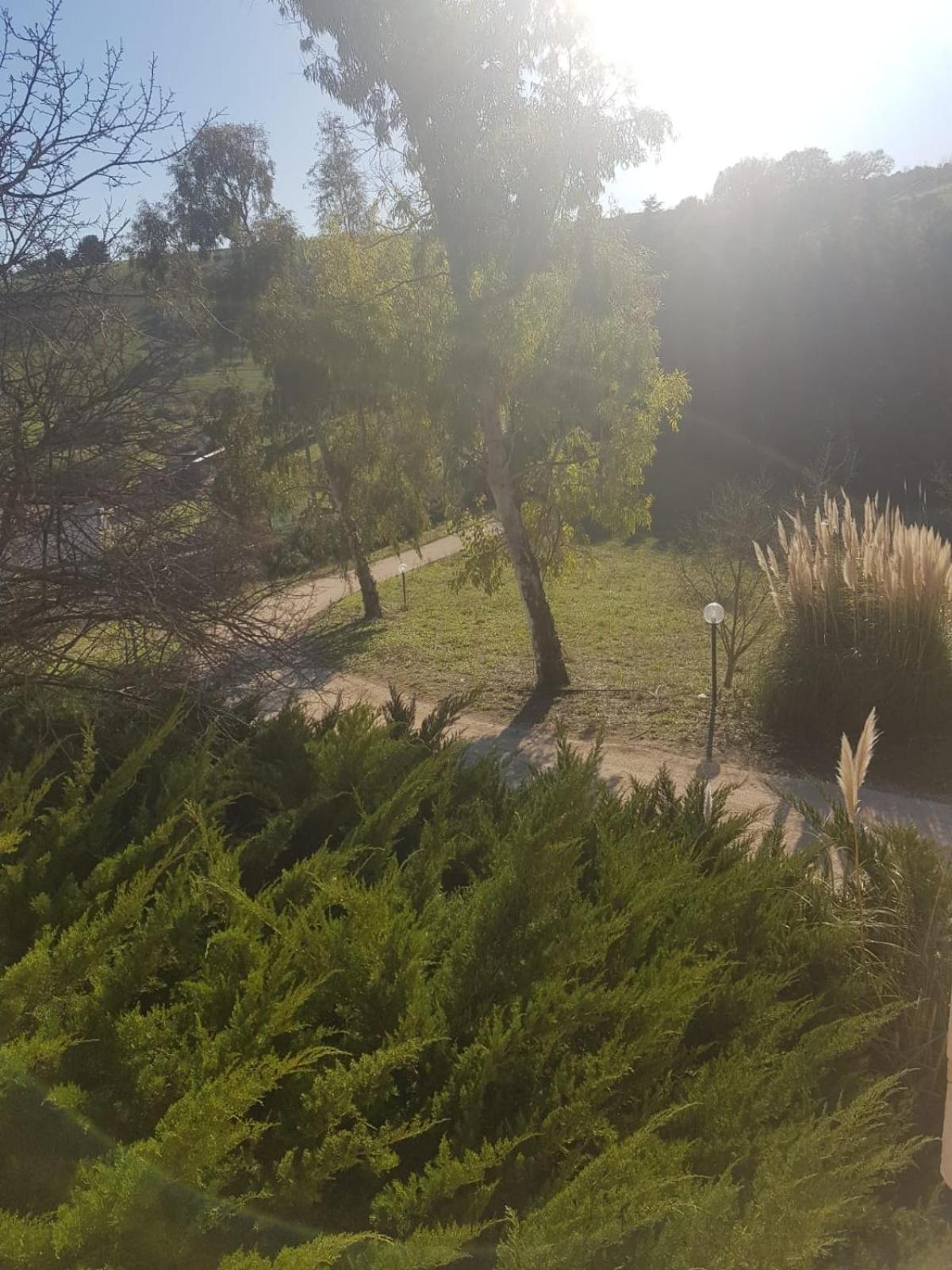 Photo 38