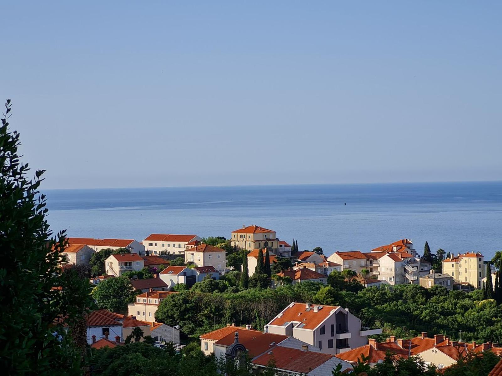SunSpot Apartment - beautiful view with big garden, free parking, central