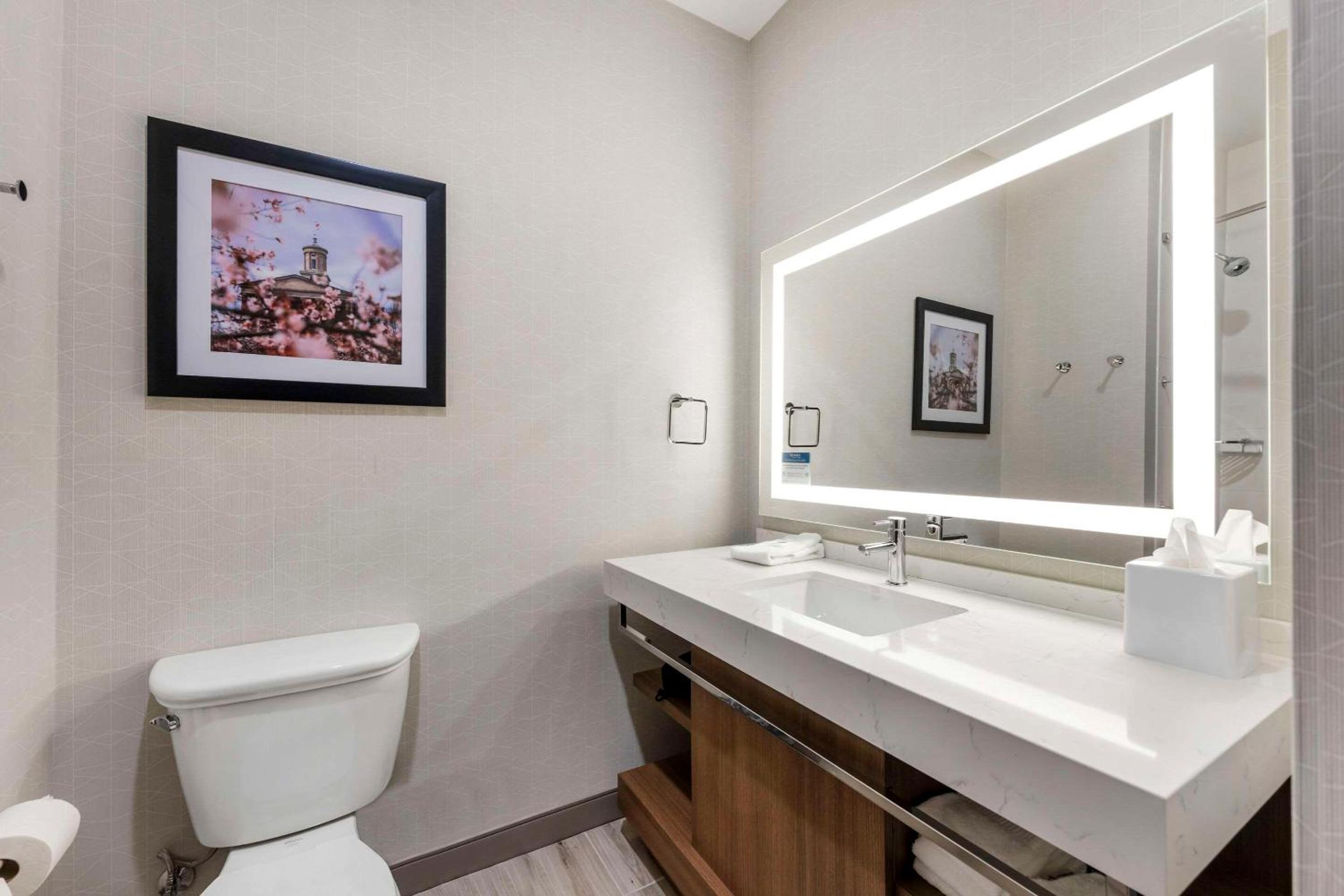 Comfort Inn Suites Gallatin - Nashville Metro - Property Image 4